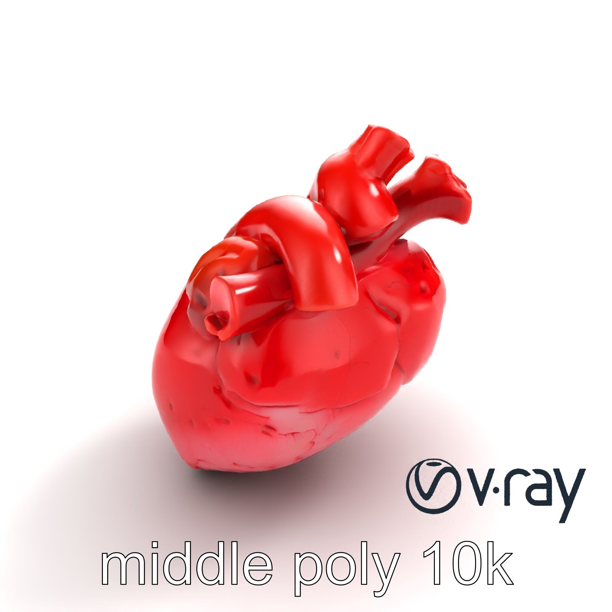 Realistic Human Heart 3D model pack Low-poly 3D model_6