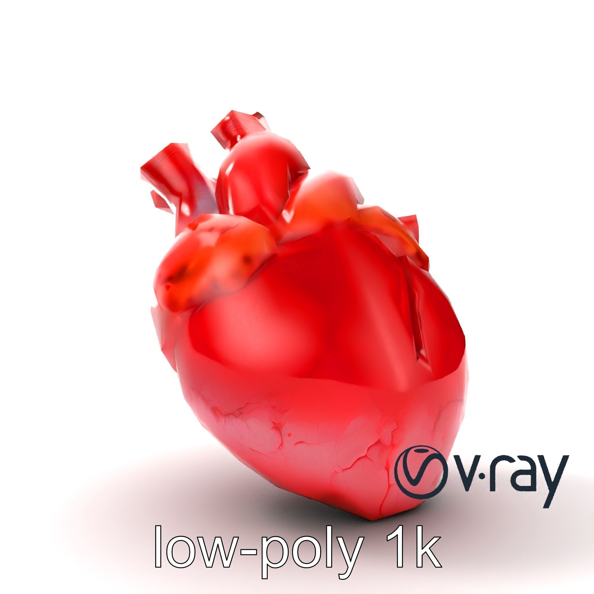 Realistic Human Heart 3D model pack Low-poly 3D model_23