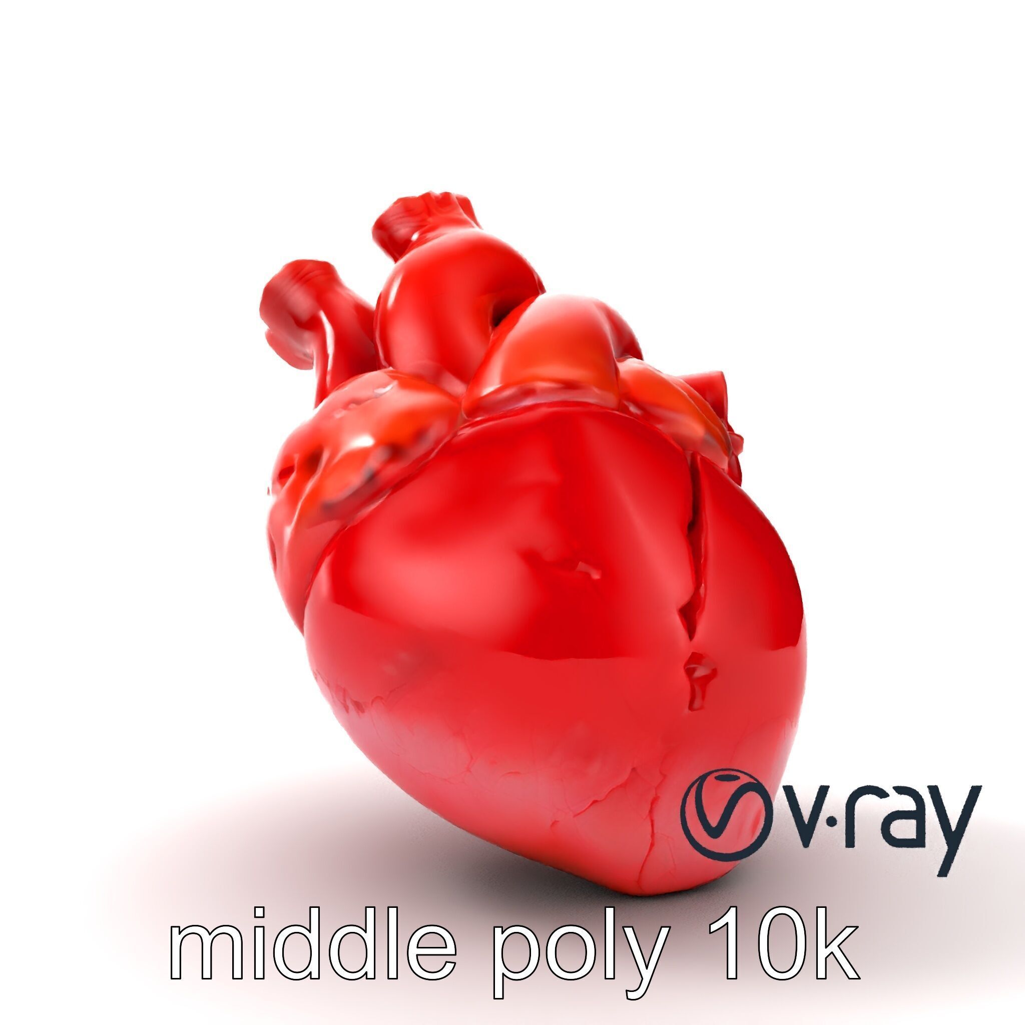Realistic Human Heart 3D model pack Low-poly 3D model_28