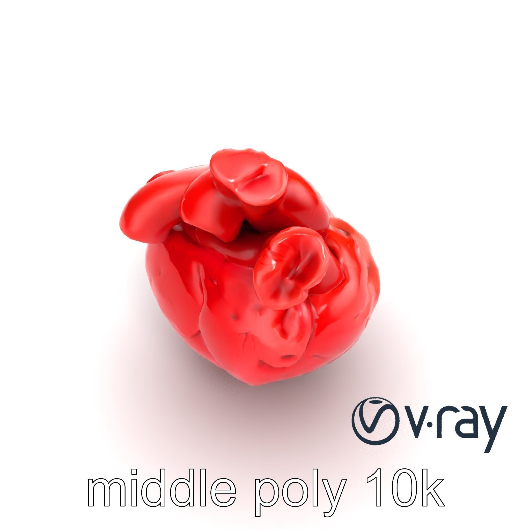 Realistic Human Heart 3D model pack Low-poly 3D model_24