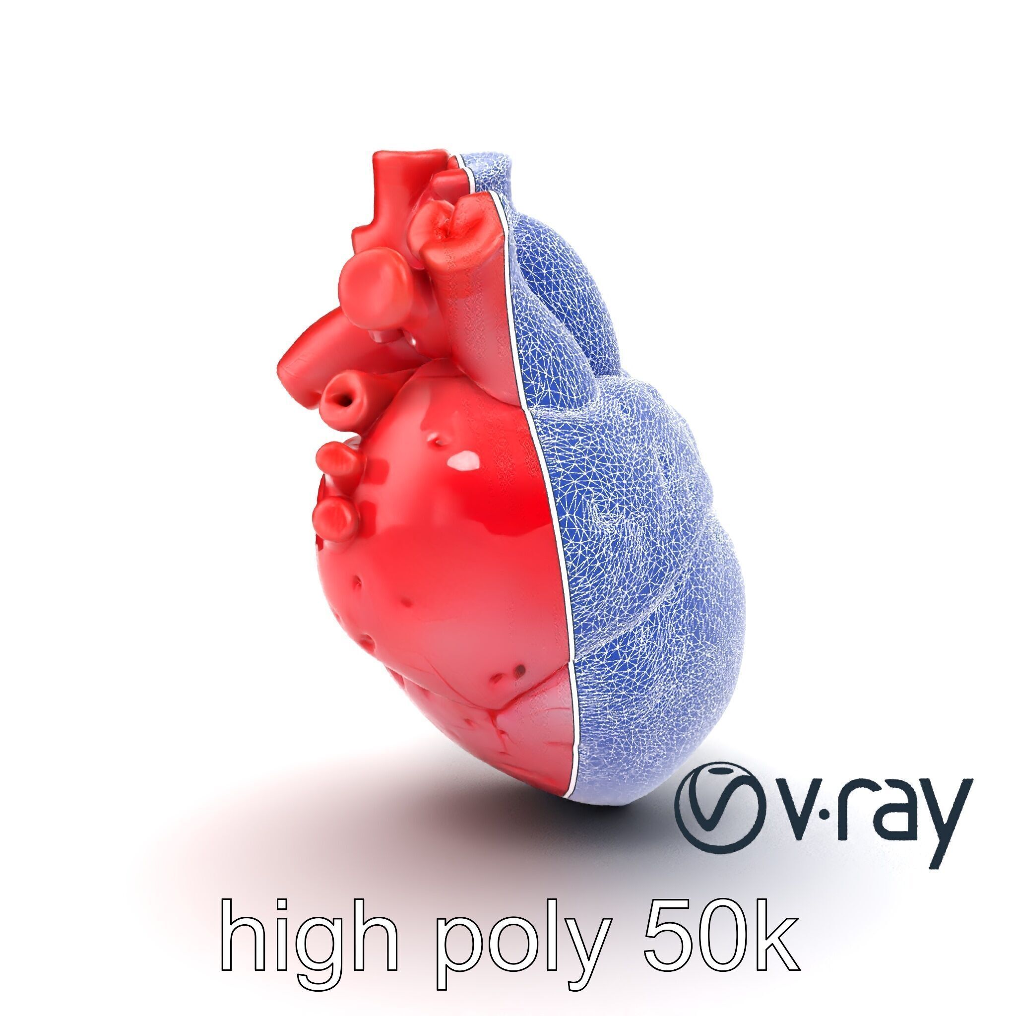 Realistic Human Heart 3D model pack Low-poly 3D model_17