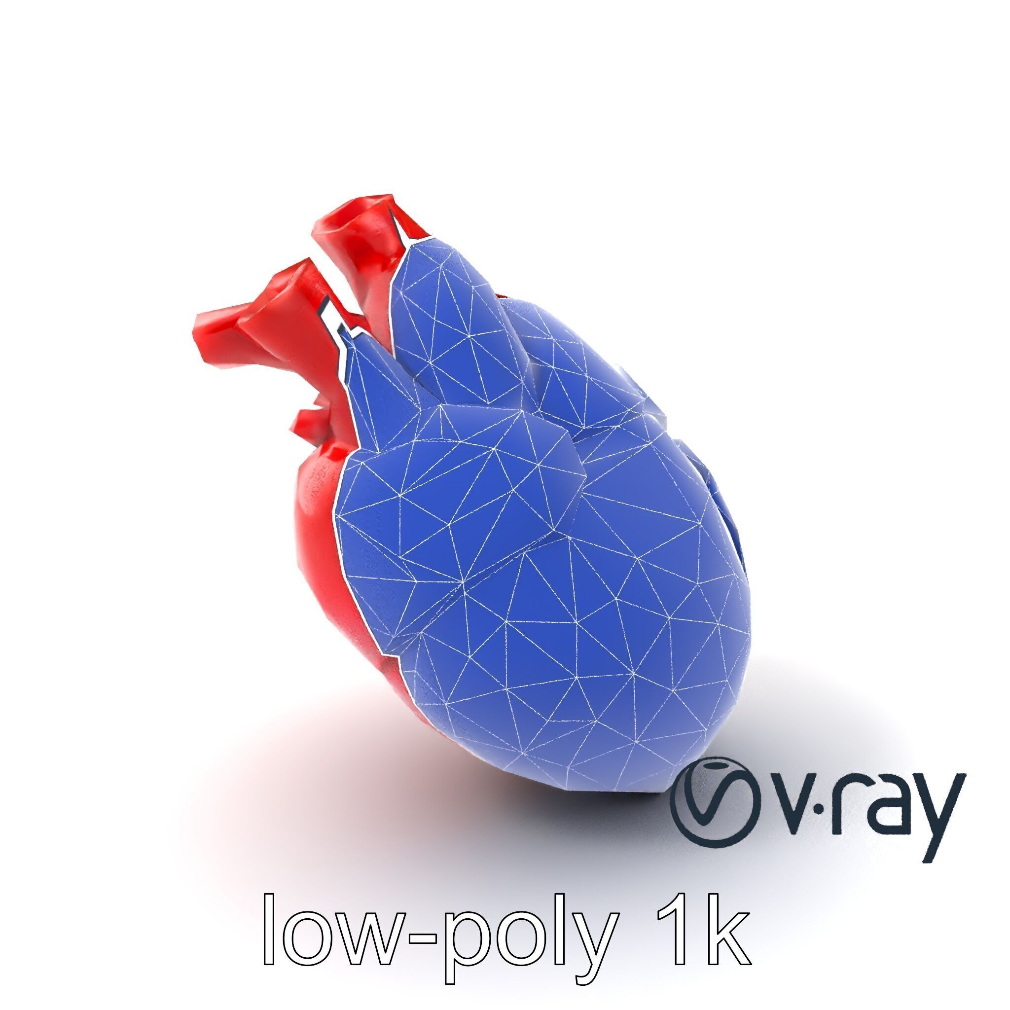 Realistic Human Heart 3D model pack Low-poly 3D model_7