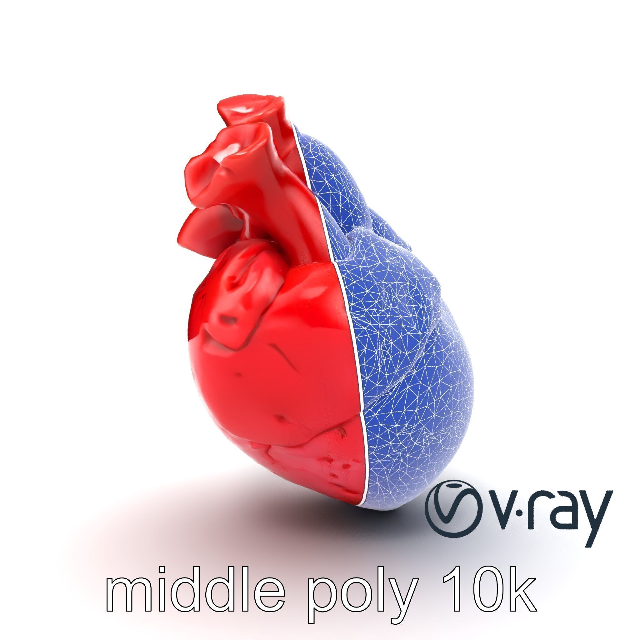 Realistic Human Heart 3D model pack Low-poly 3D model_14