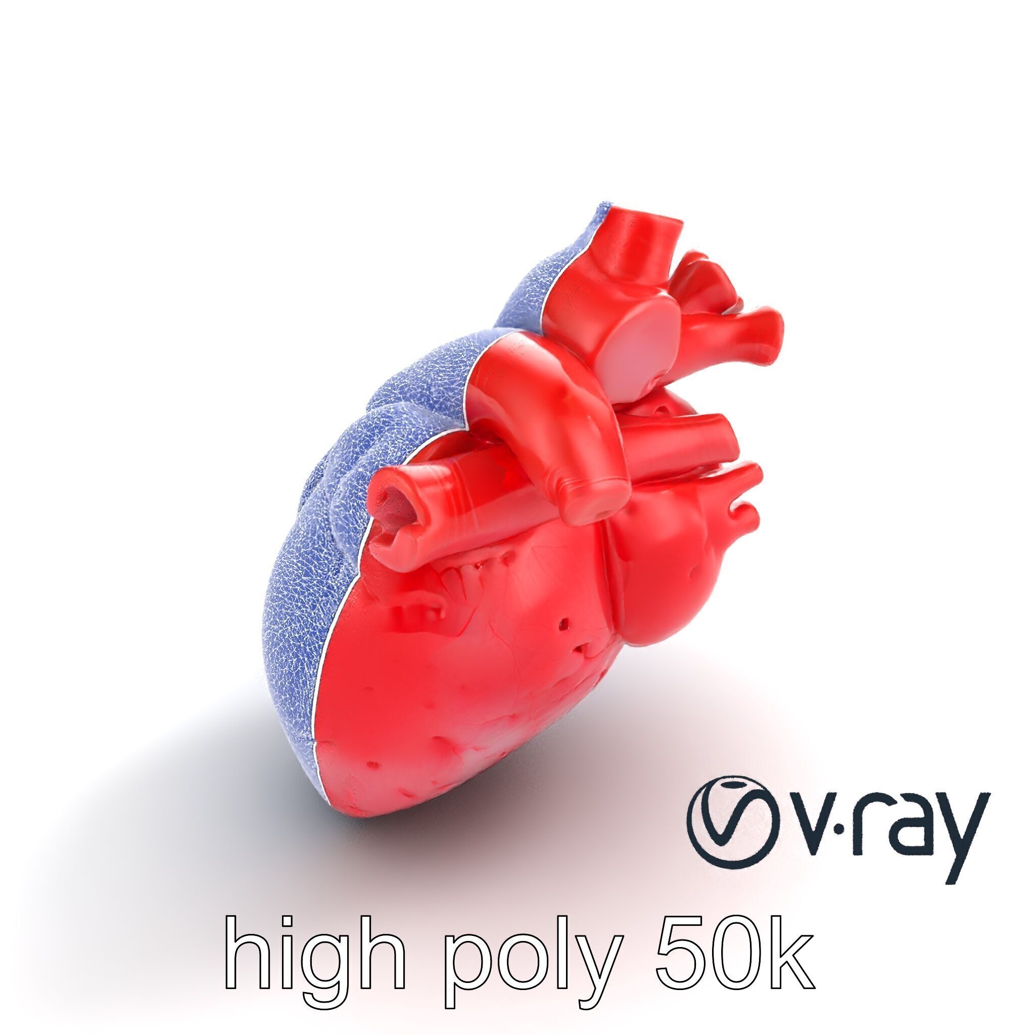 Realistic Human Heart 3D model pack Low-poly 3D model_25