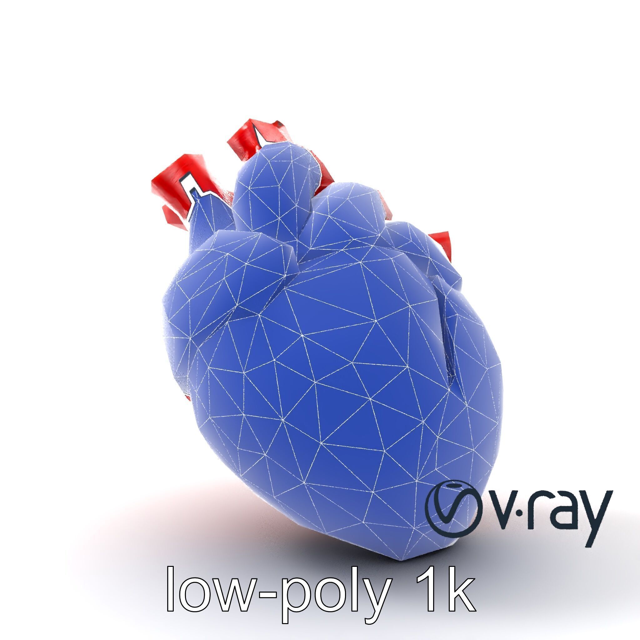 Realistic Human Heart 3D model pack Low-poly 3D model_19