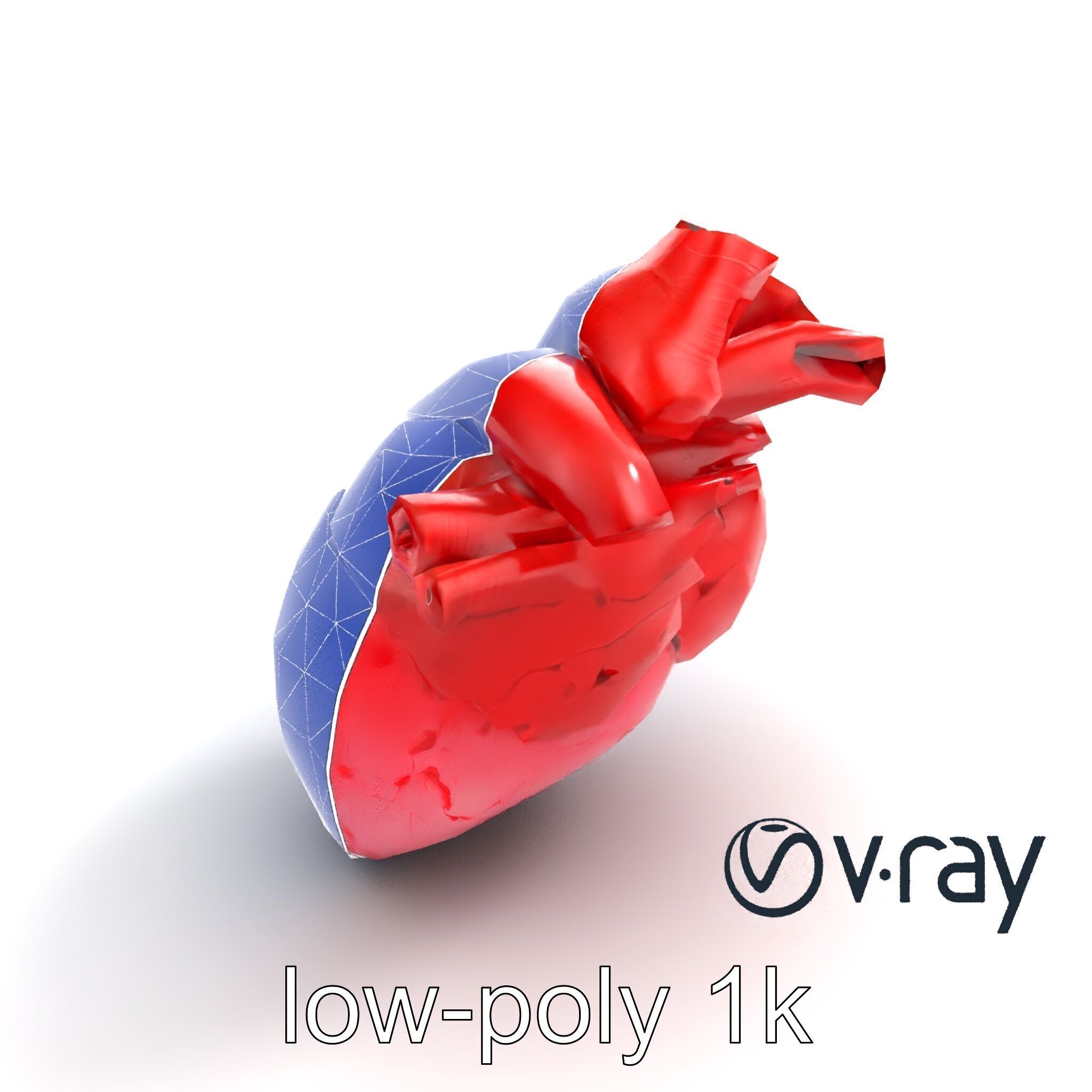 Realistic Human Heart 3D model pack Low-poly 3D model_20