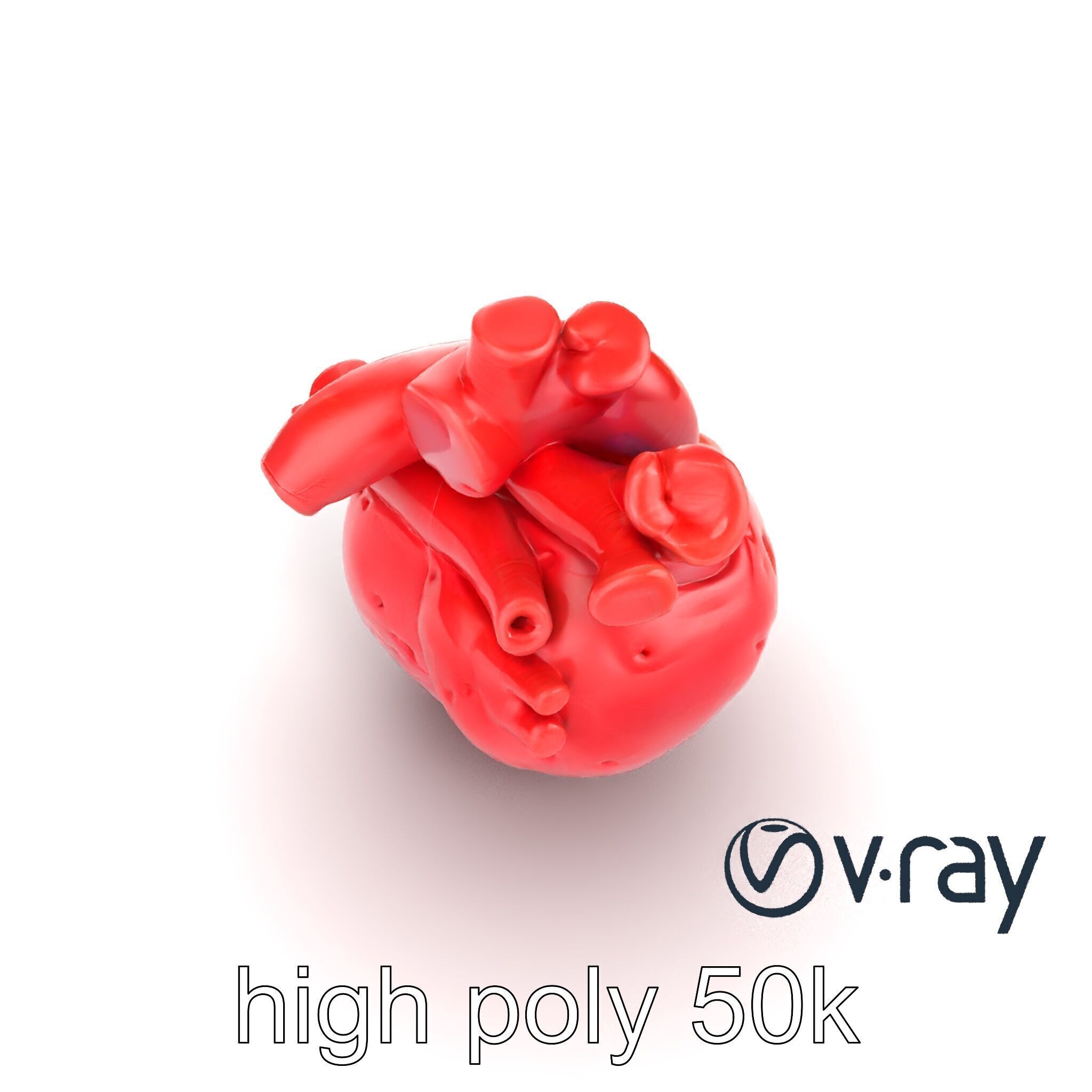 Realistic Human Heart 3D model pack Low-poly 3D model_12