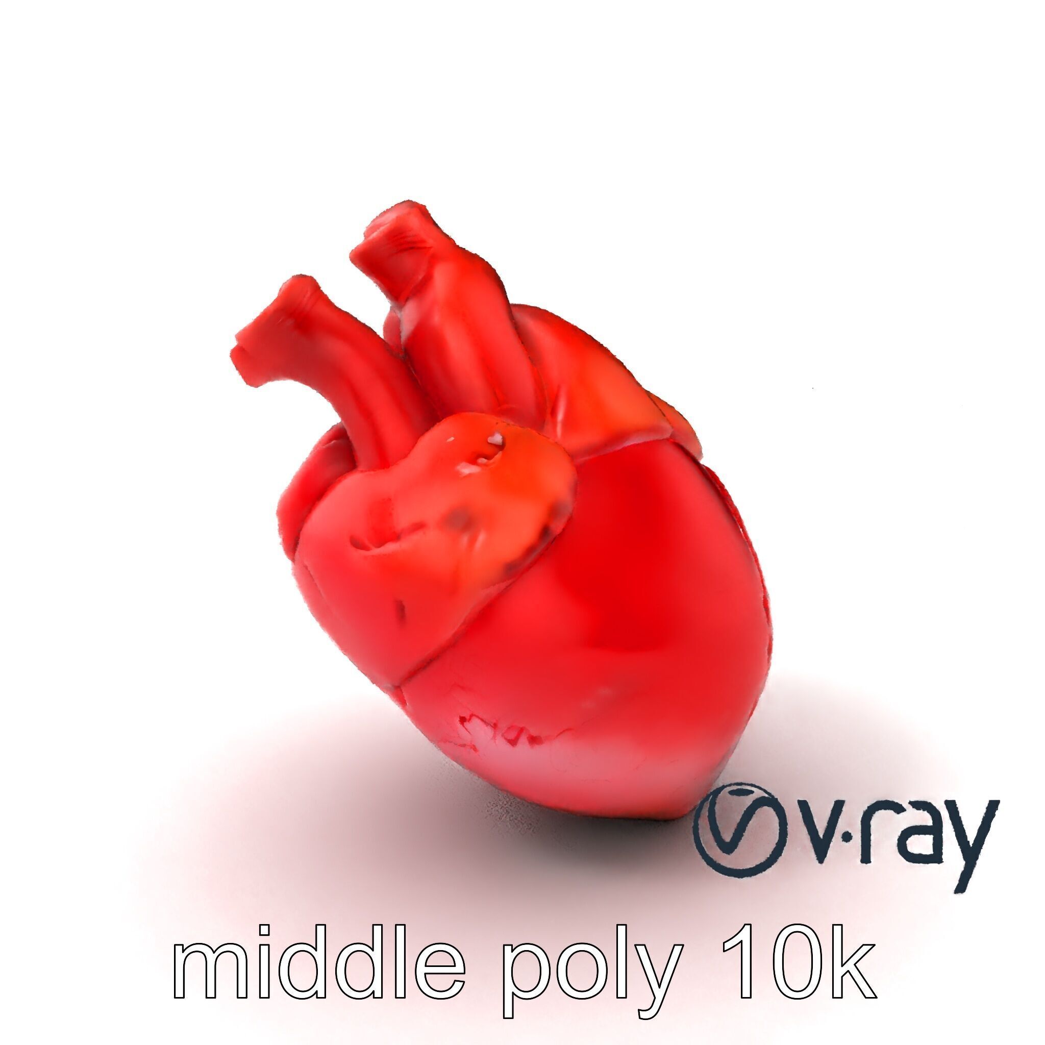 Realistic Human Heart 3D model pack Low-poly 3D model_3