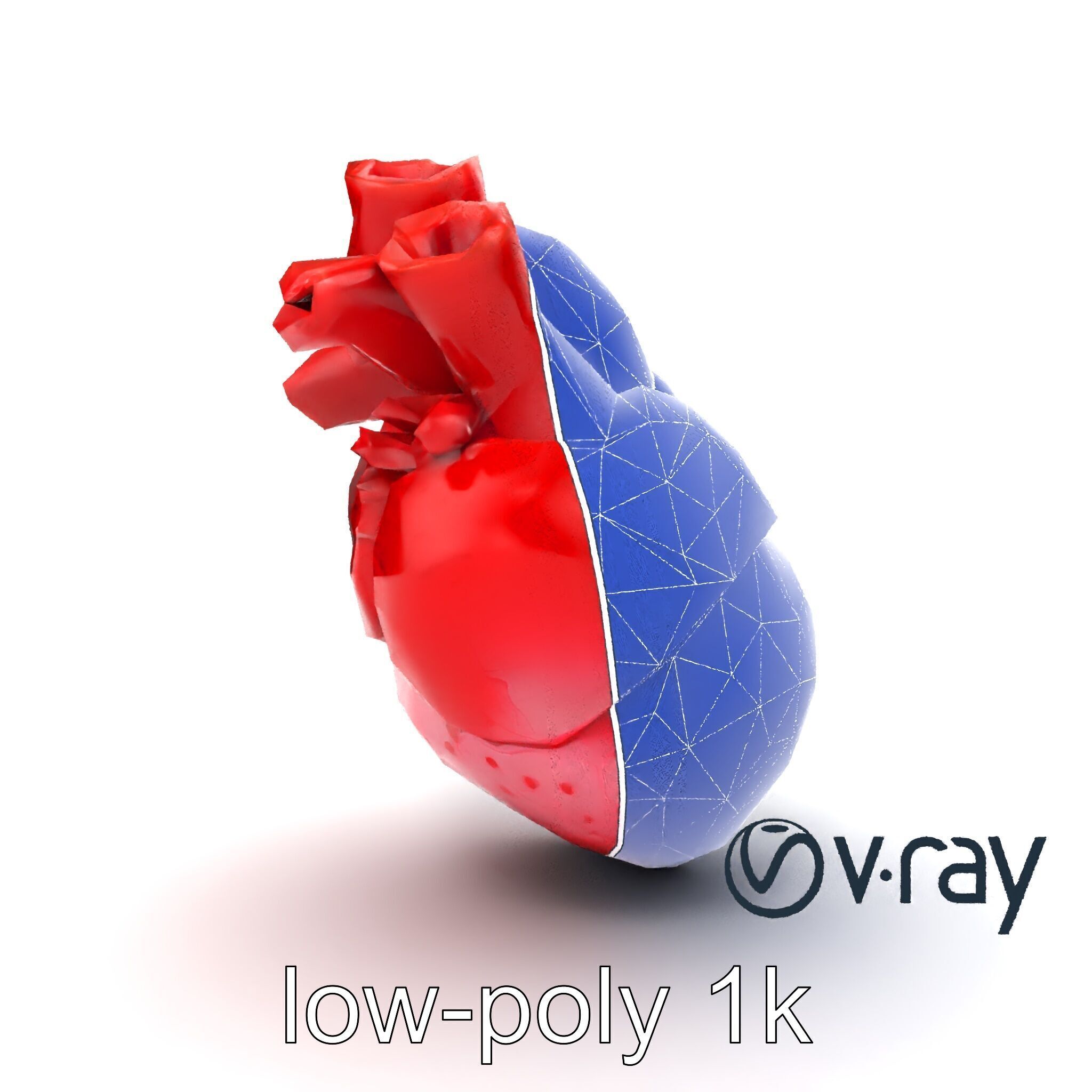Realistic Human Heart 3D model pack Low-poly 3D model_15