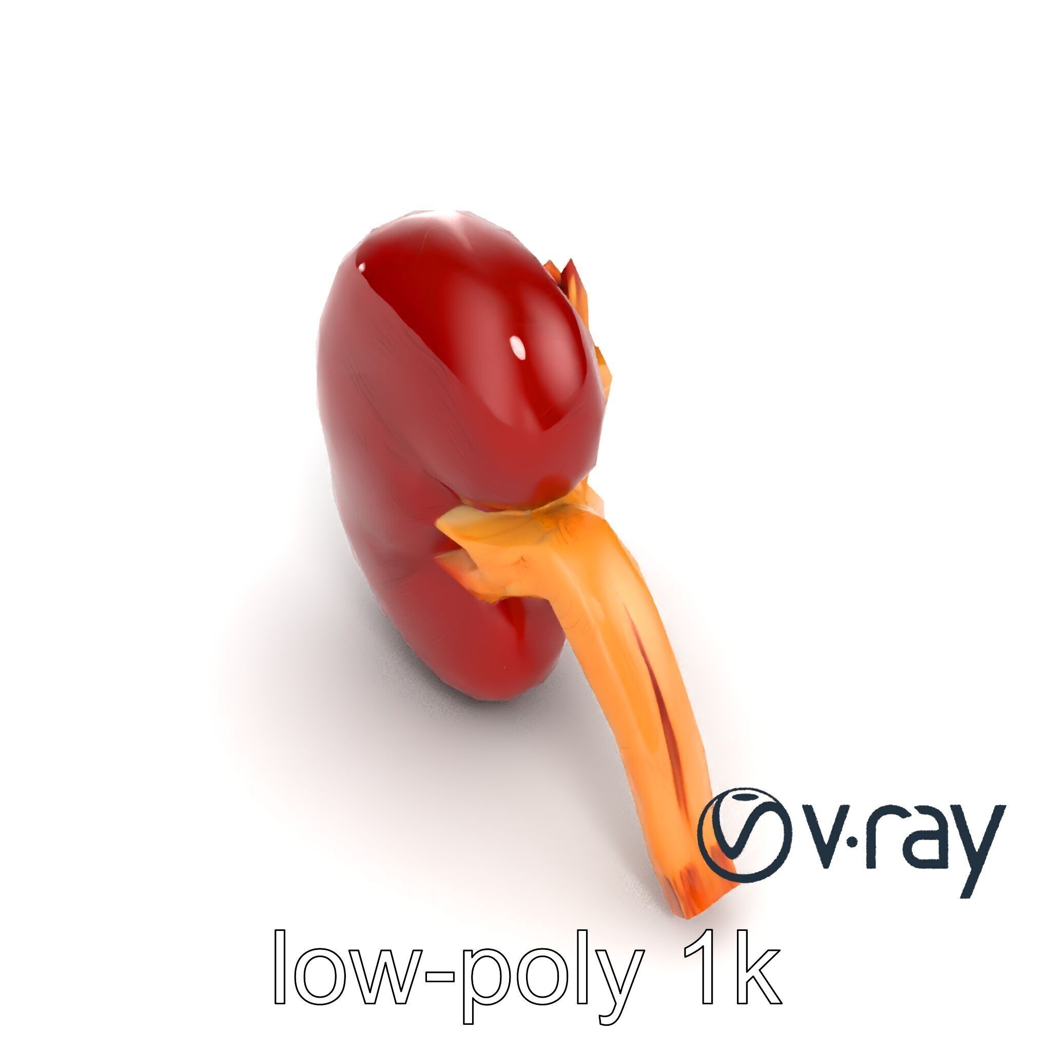 Realistic Human Kidney 3D model pack Low-poly 3D model_15
