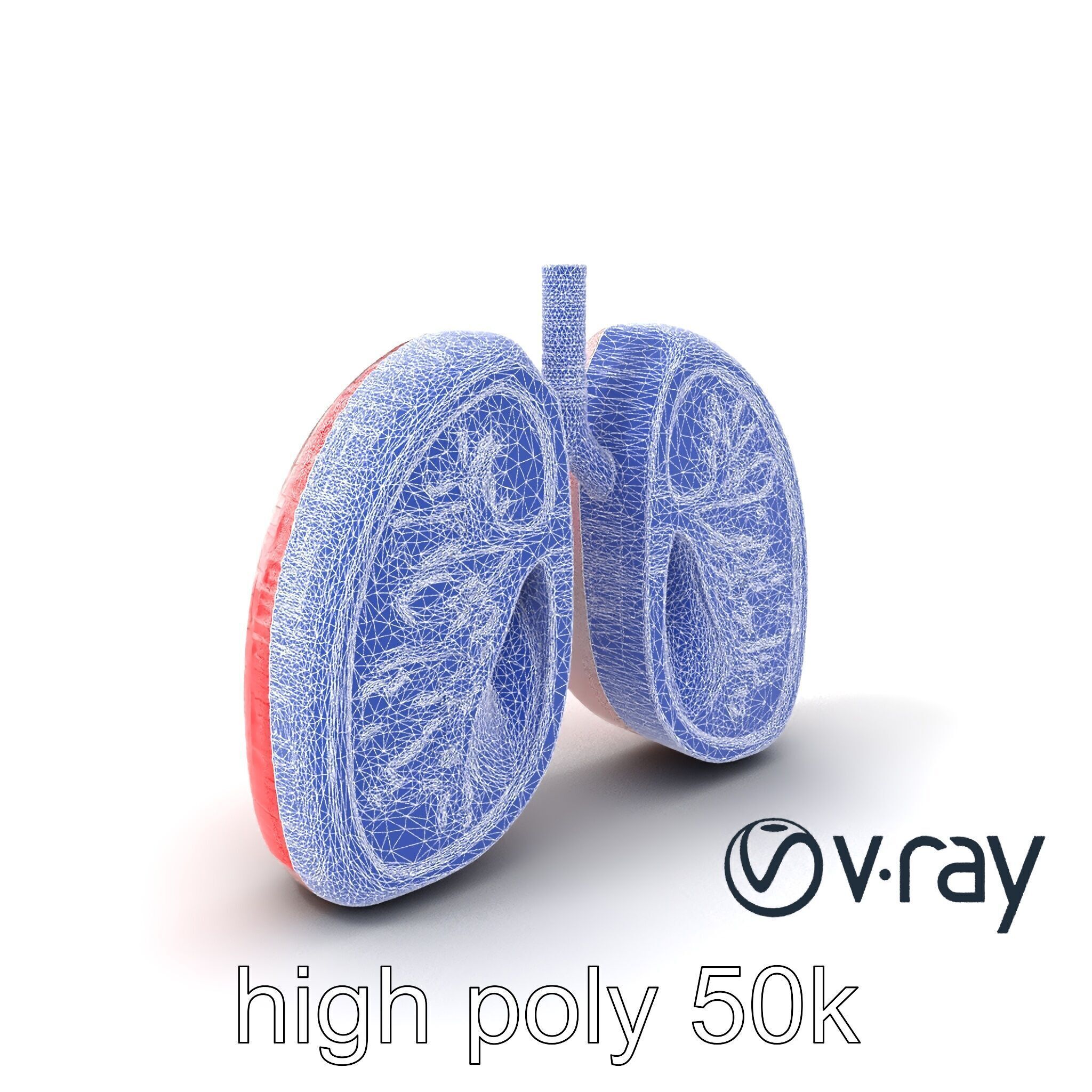 Futuristic Sci-Fi Lungs with Glowing Bronchi model pack Low-poly 3D model_8