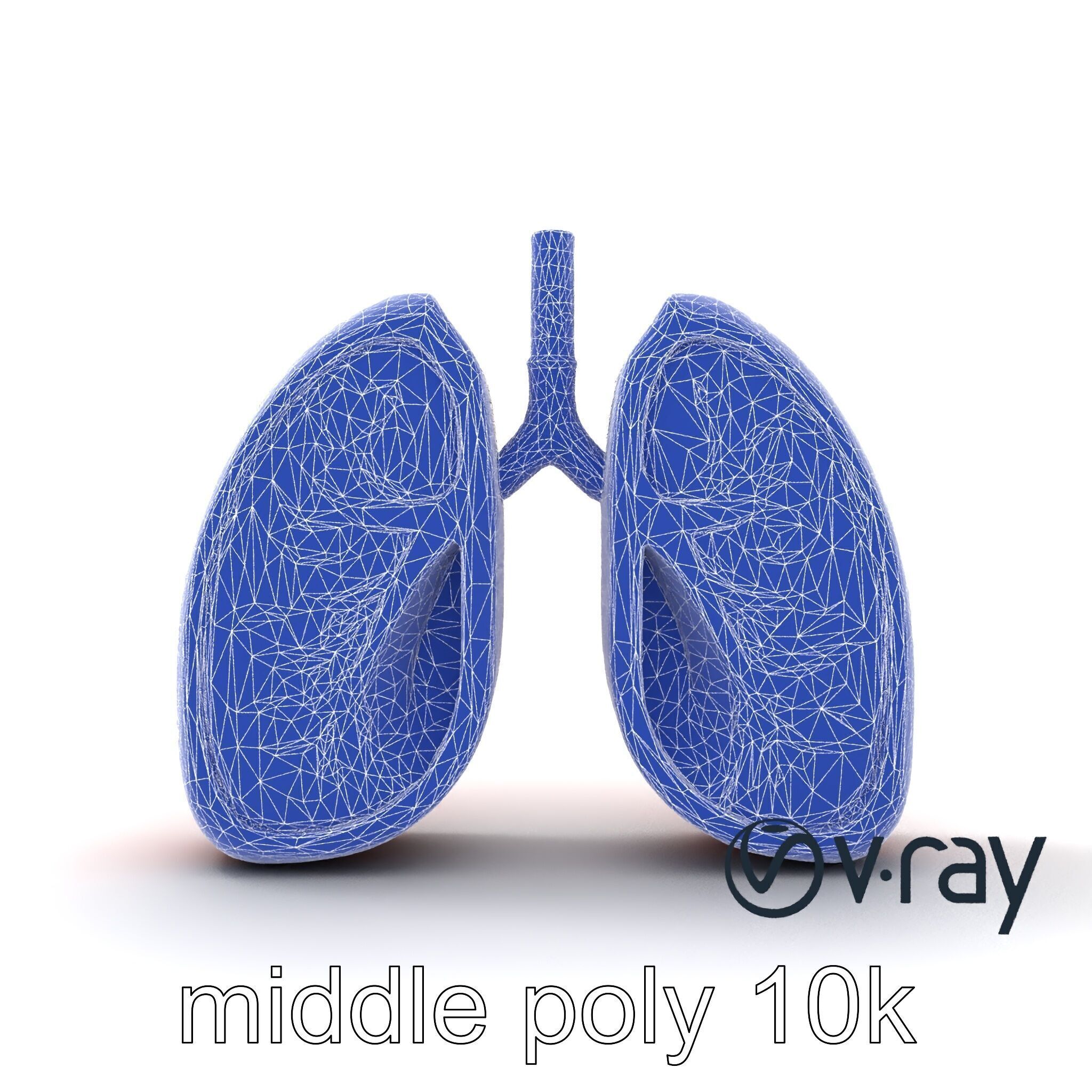 Futuristic Sci-Fi Lungs with Glowing Bronchi model pack Low-poly 3D model_32