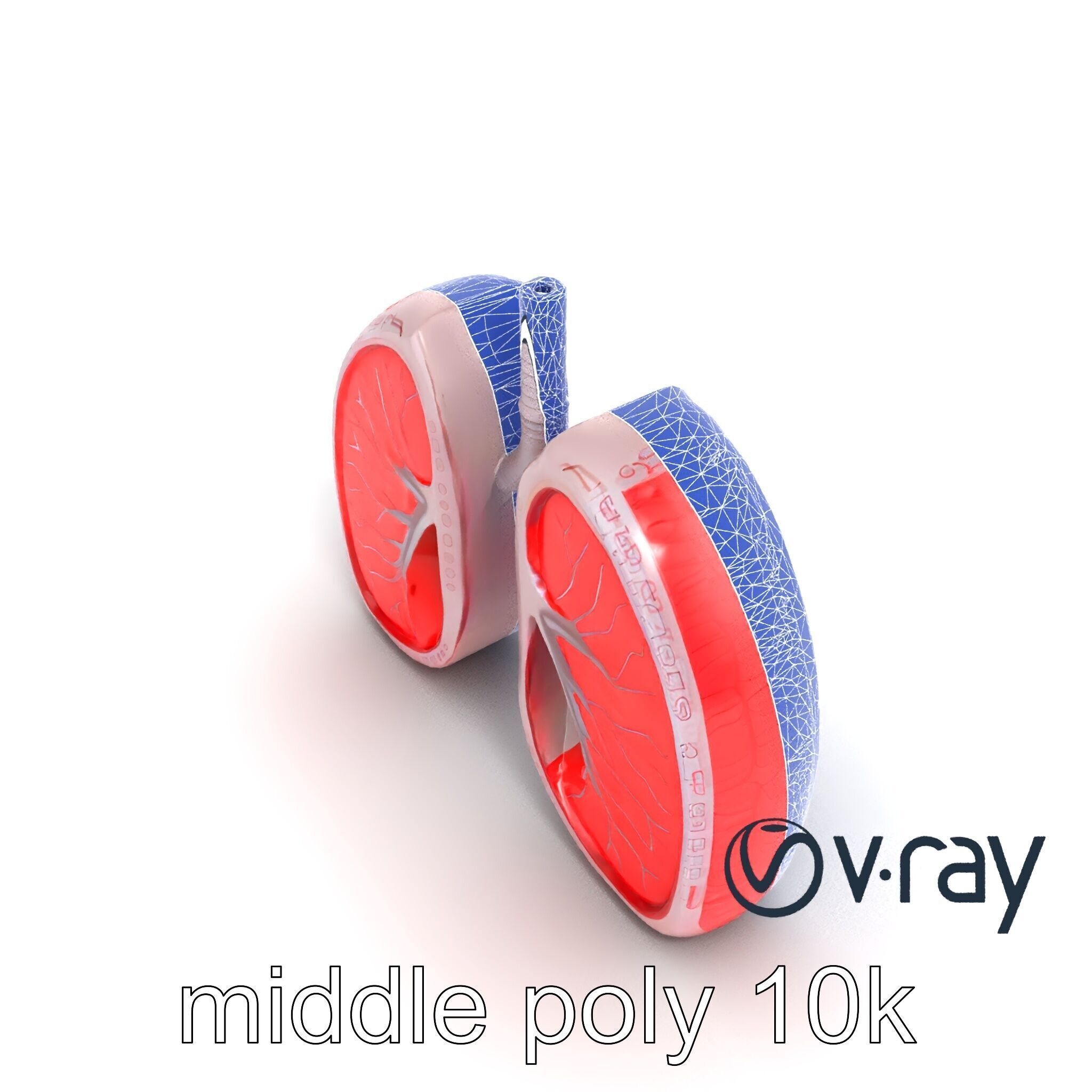 Futuristic Sci-Fi Lungs with Glowing Bronchi model pack Low-poly 3D model_28