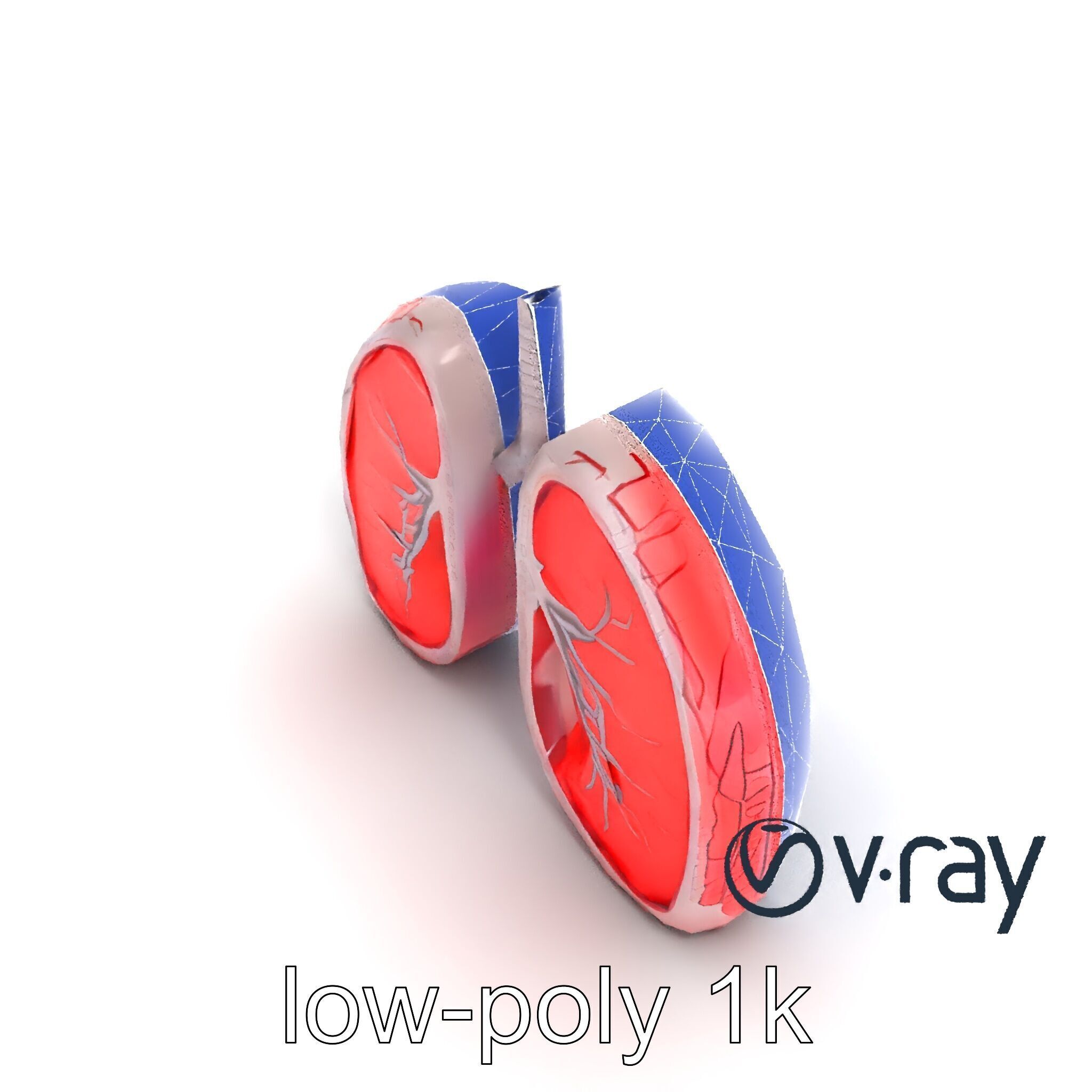 Futuristic Sci-Fi Lungs with Glowing Bronchi model pack Low-poly 3D model_13