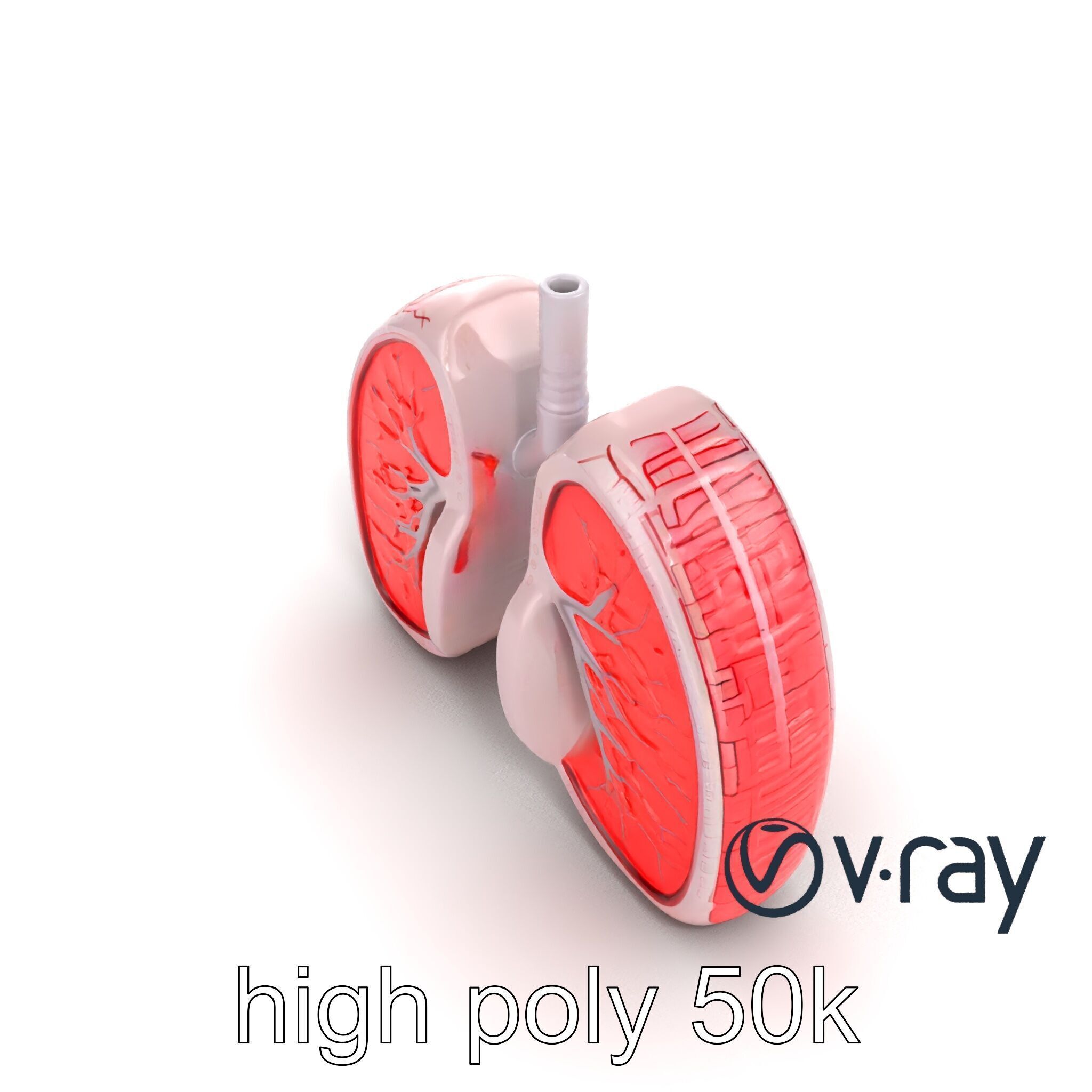 Futuristic Sci-Fi Lungs with Glowing Bronchi model pack Low-poly 3D model_22