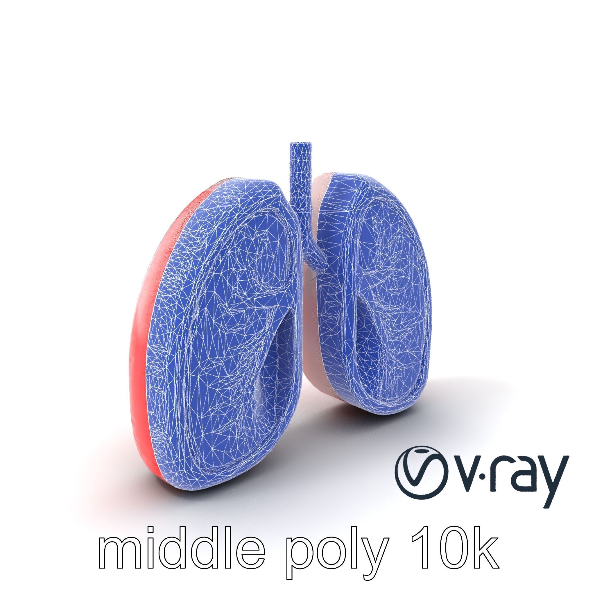 Futuristic Sci-Fi Lungs with Glowing Bronchi model pack Low-poly 3D model_12