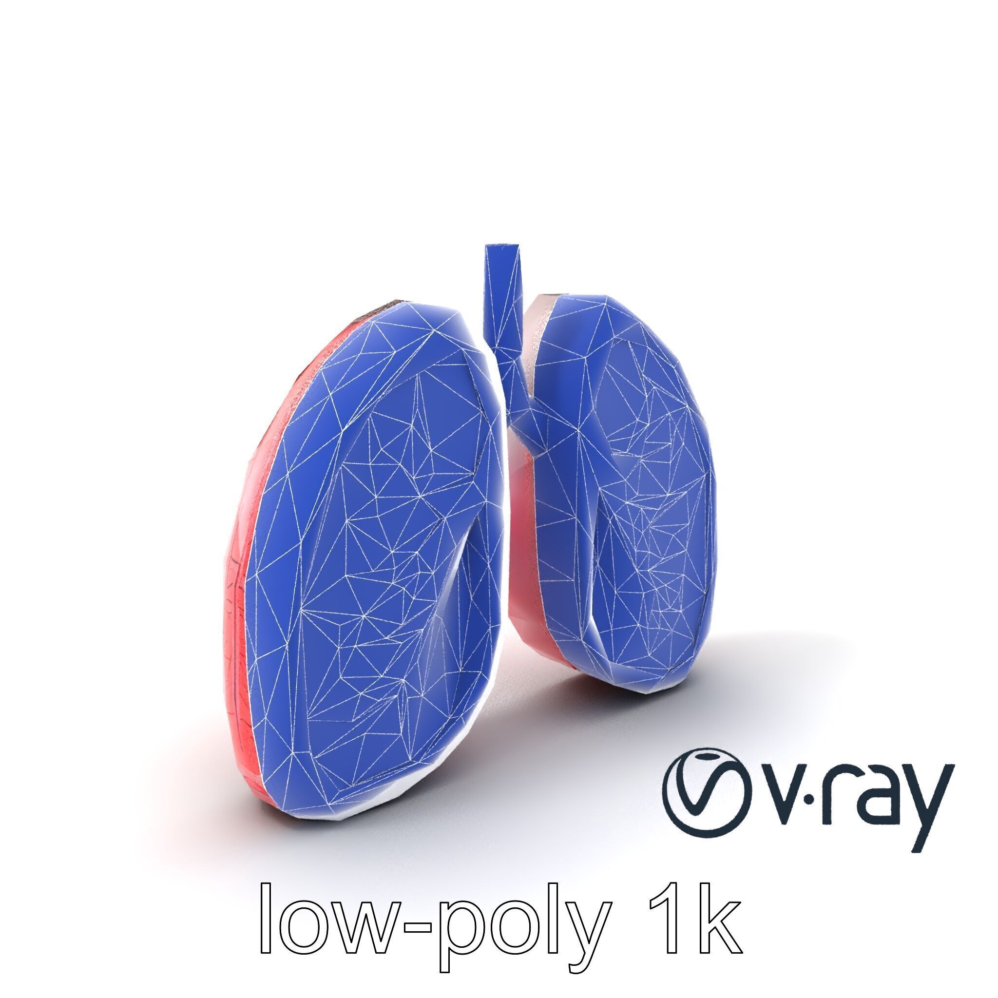 Futuristic Sci-Fi Lungs with Glowing Bronchi model pack Low-poly 3D model_7