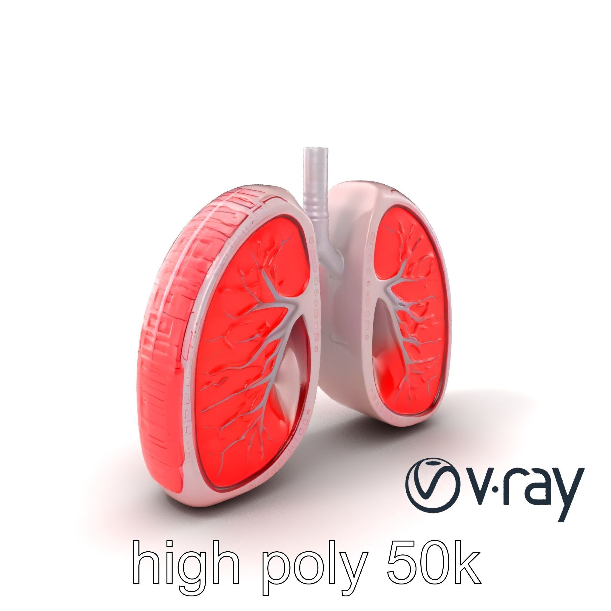 Futuristic Sci-Fi Lungs with Glowing Bronchi model pack Low-poly 3D model_5