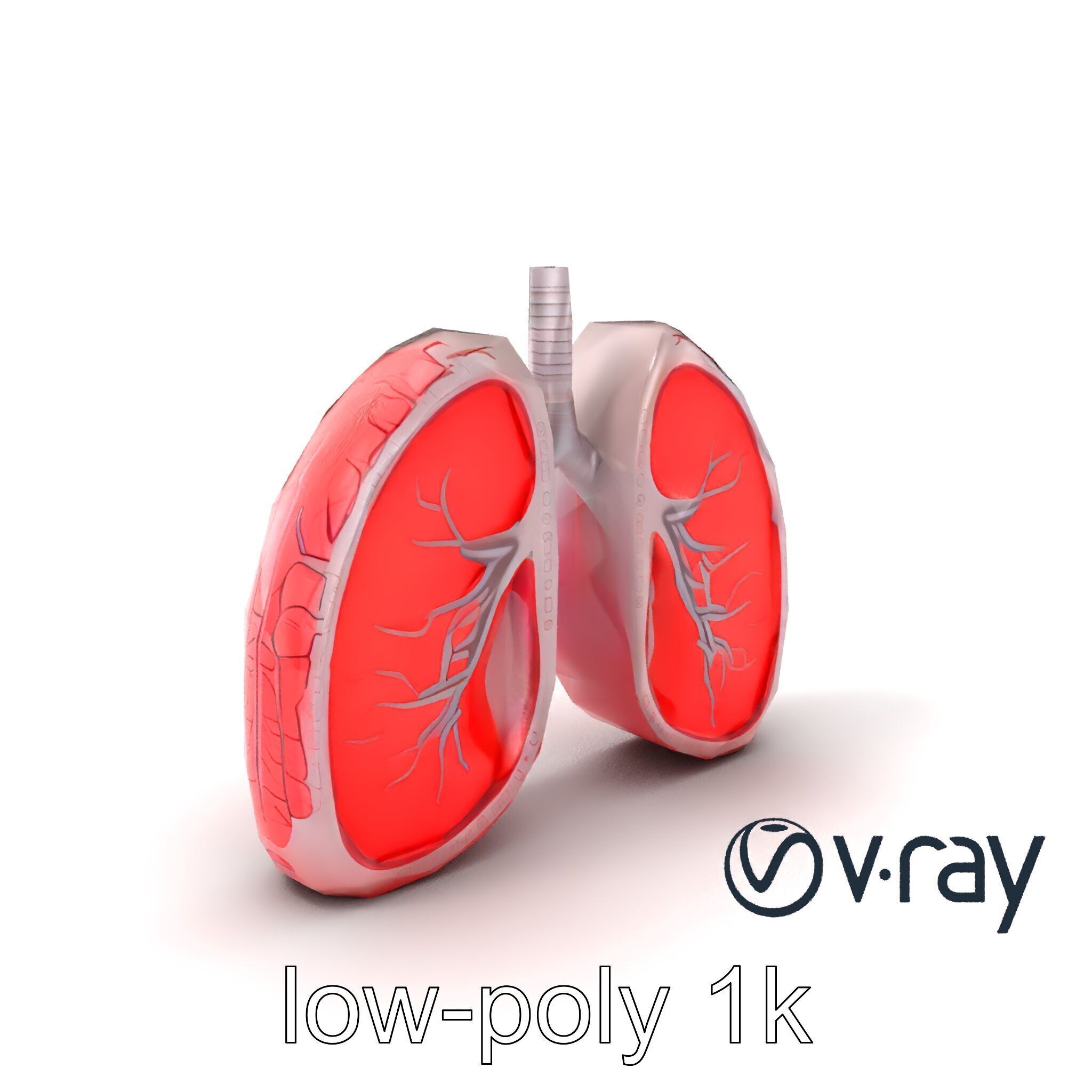 Futuristic Sci-Fi Lungs with Glowing Bronchi model pack Low-poly 3D model_2