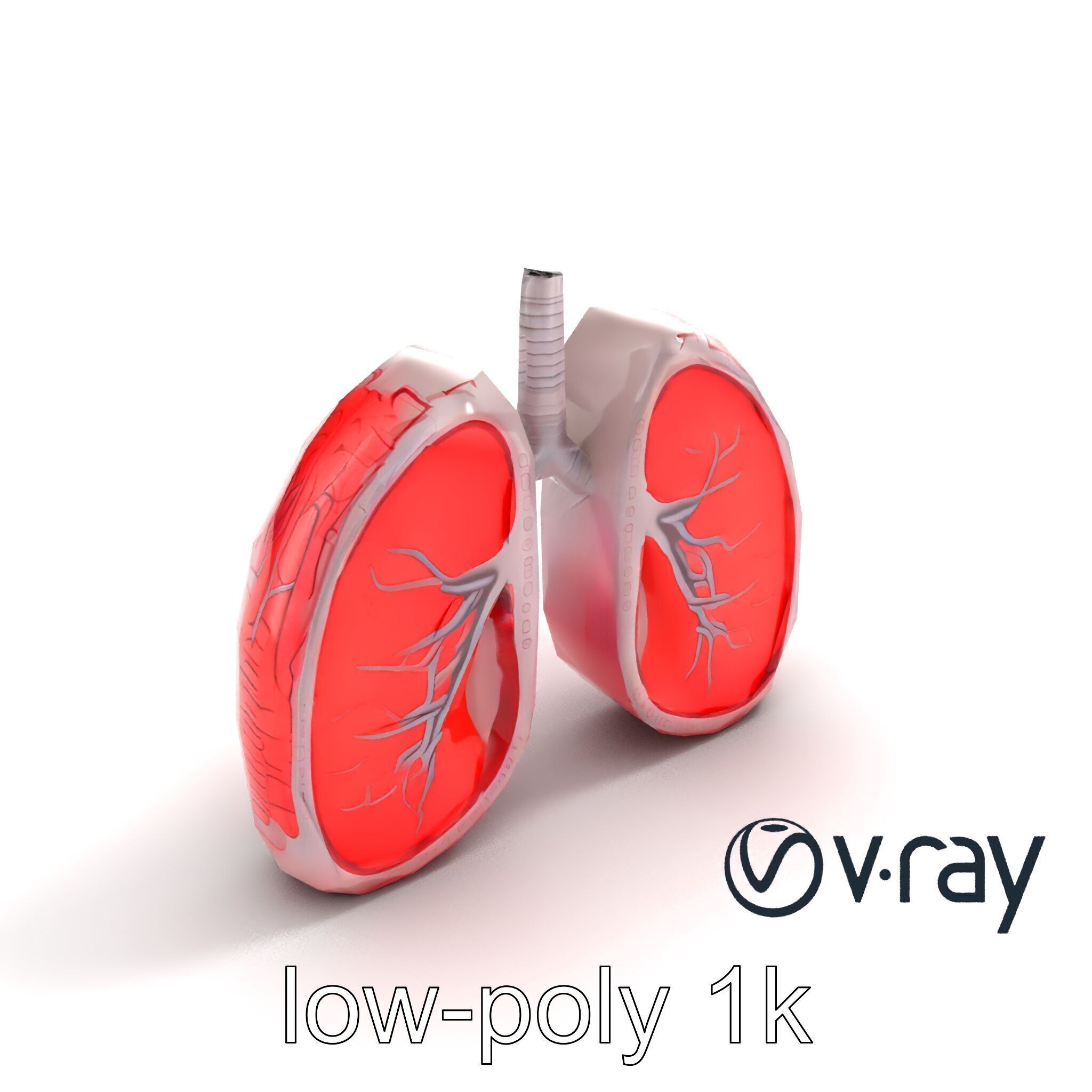 Futuristic Sci-Fi Lungs with Glowing Bronchi model pack Low-poly 3D model_10