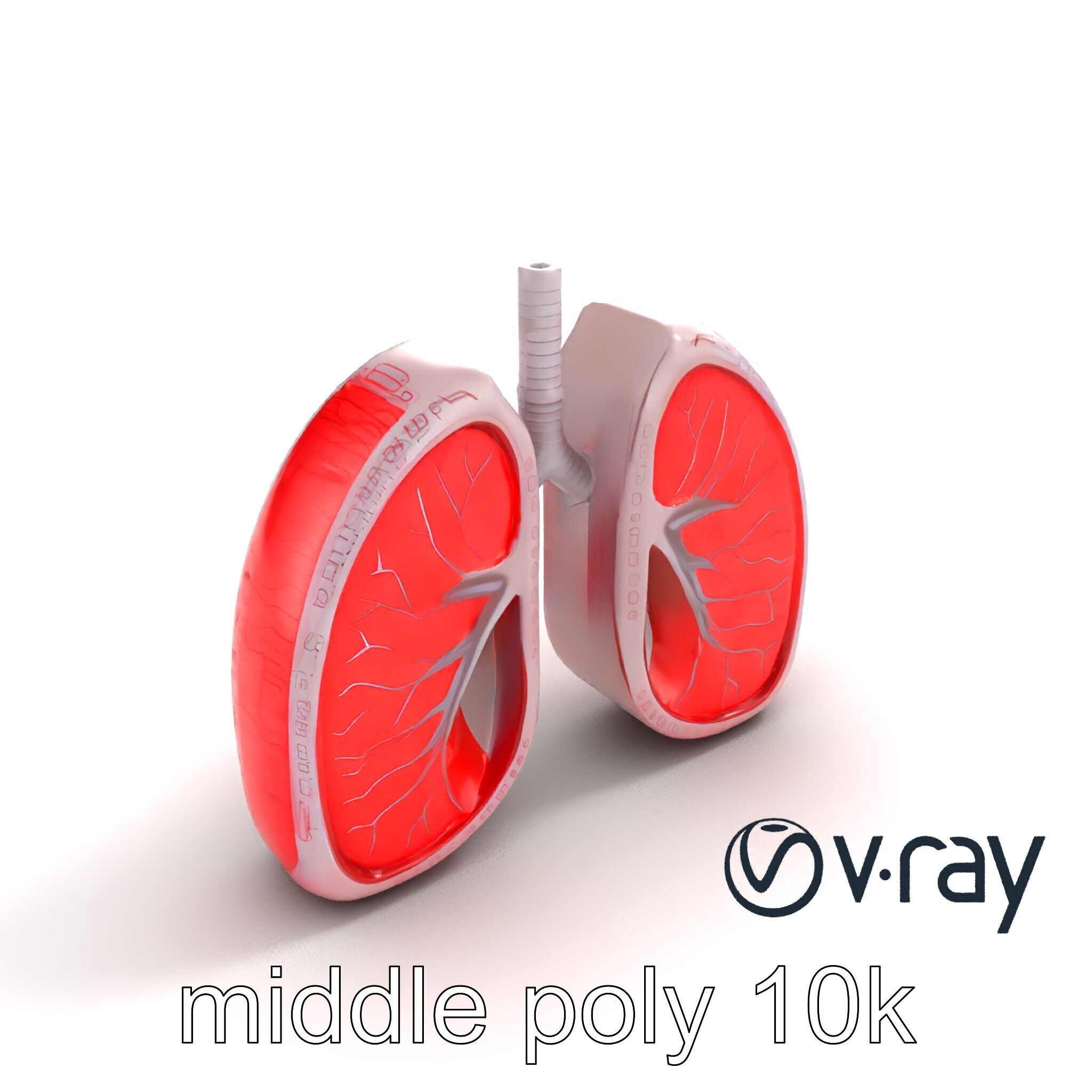 Futuristic Sci-Fi Lungs with Glowing Bronchi model pack Low-poly 3D model_6