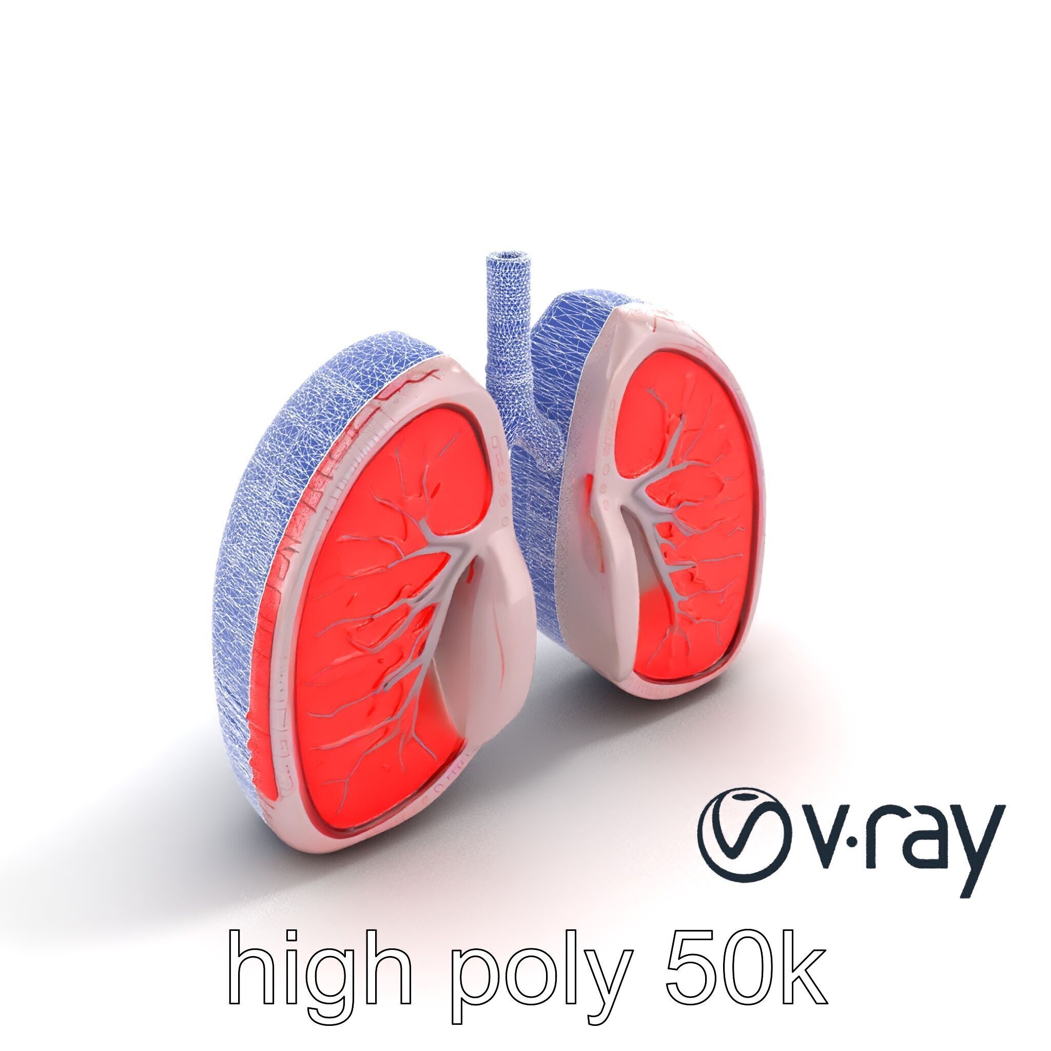 Futuristic Sci-Fi Lungs with Glowing Bronchi model pack Low-poly 3D model_31