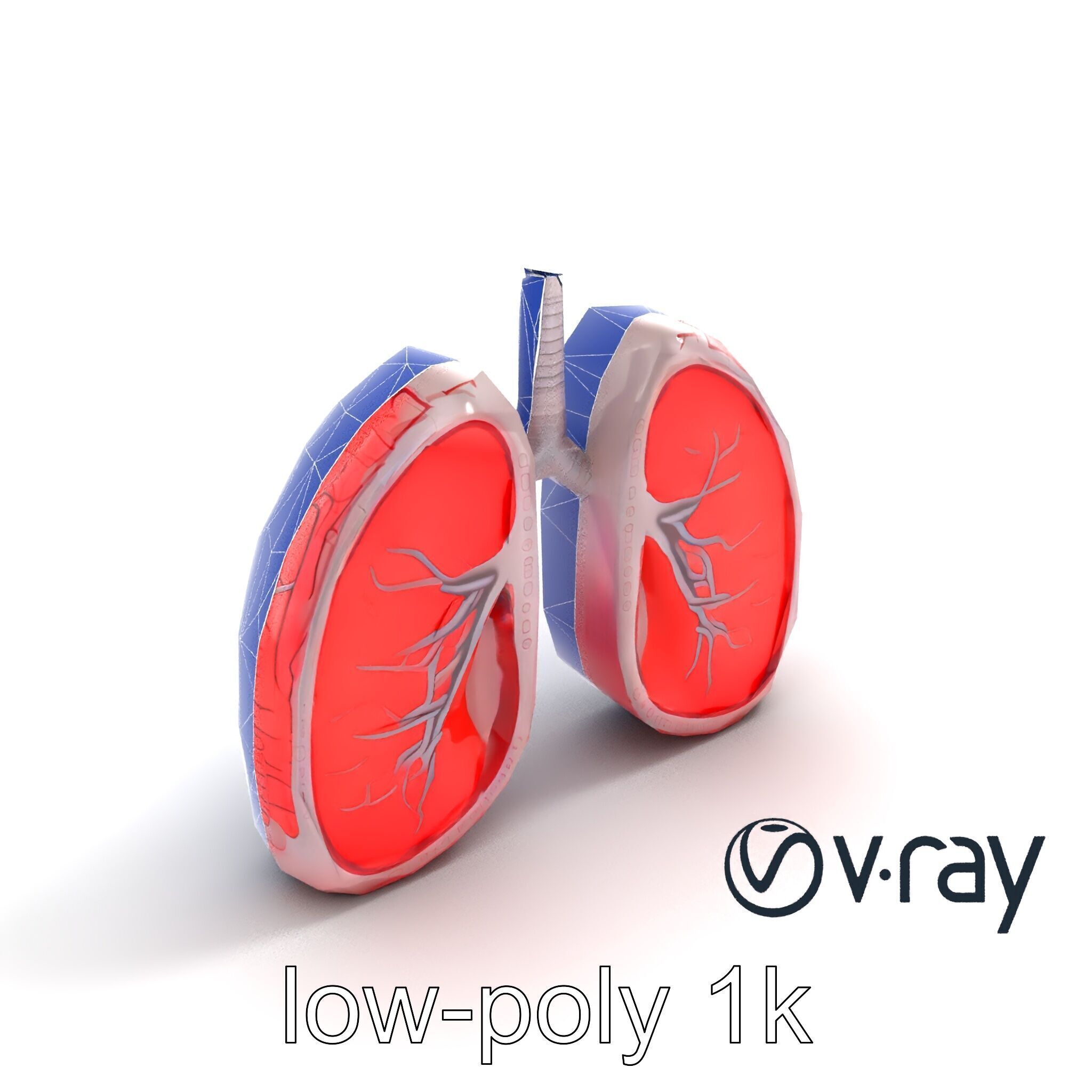 Futuristic Sci-Fi Lungs with Glowing Bronchi model pack Low-poly 3D model_23