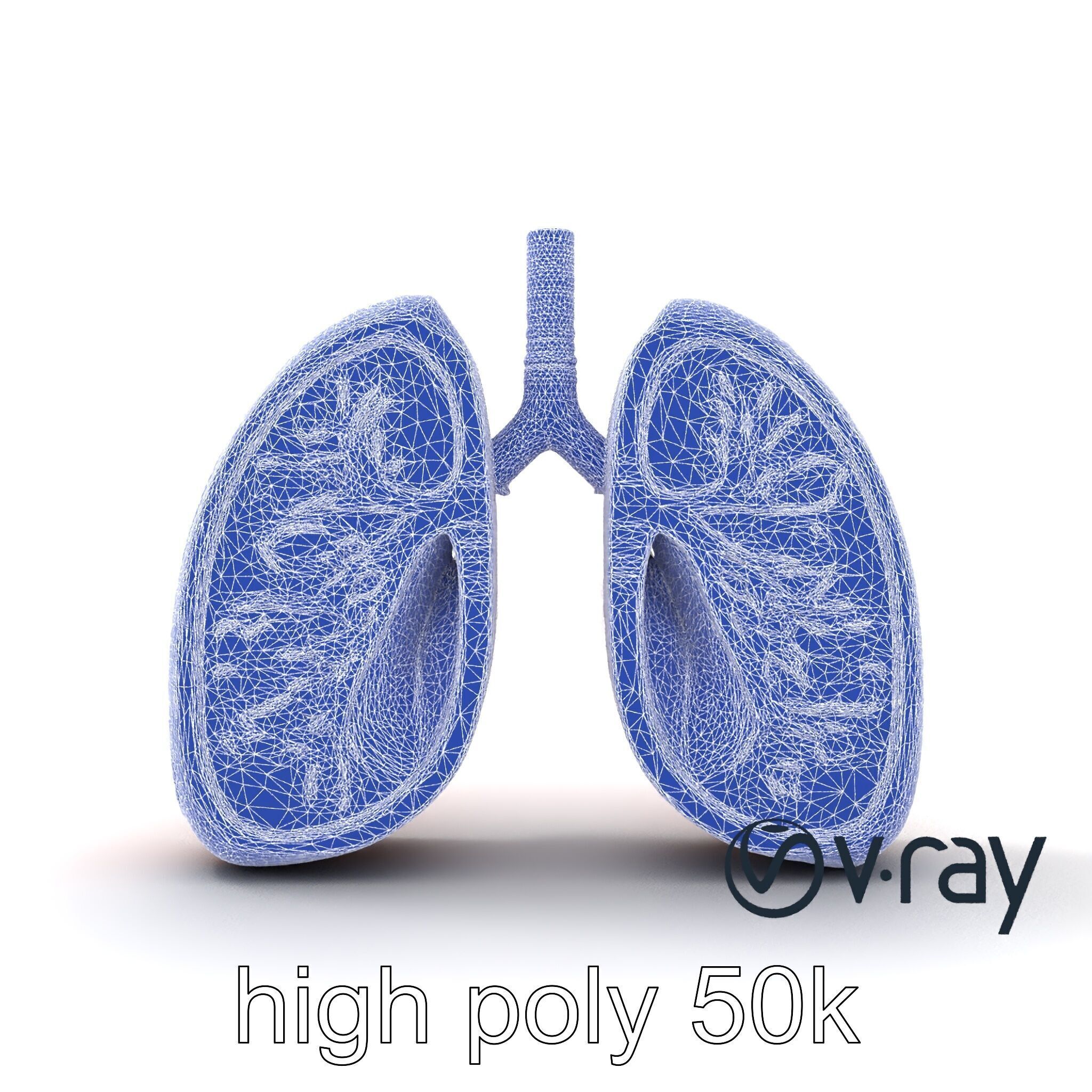 Futuristic Sci-Fi Lungs with Glowing Bronchi model pack Low-poly 3D model_29