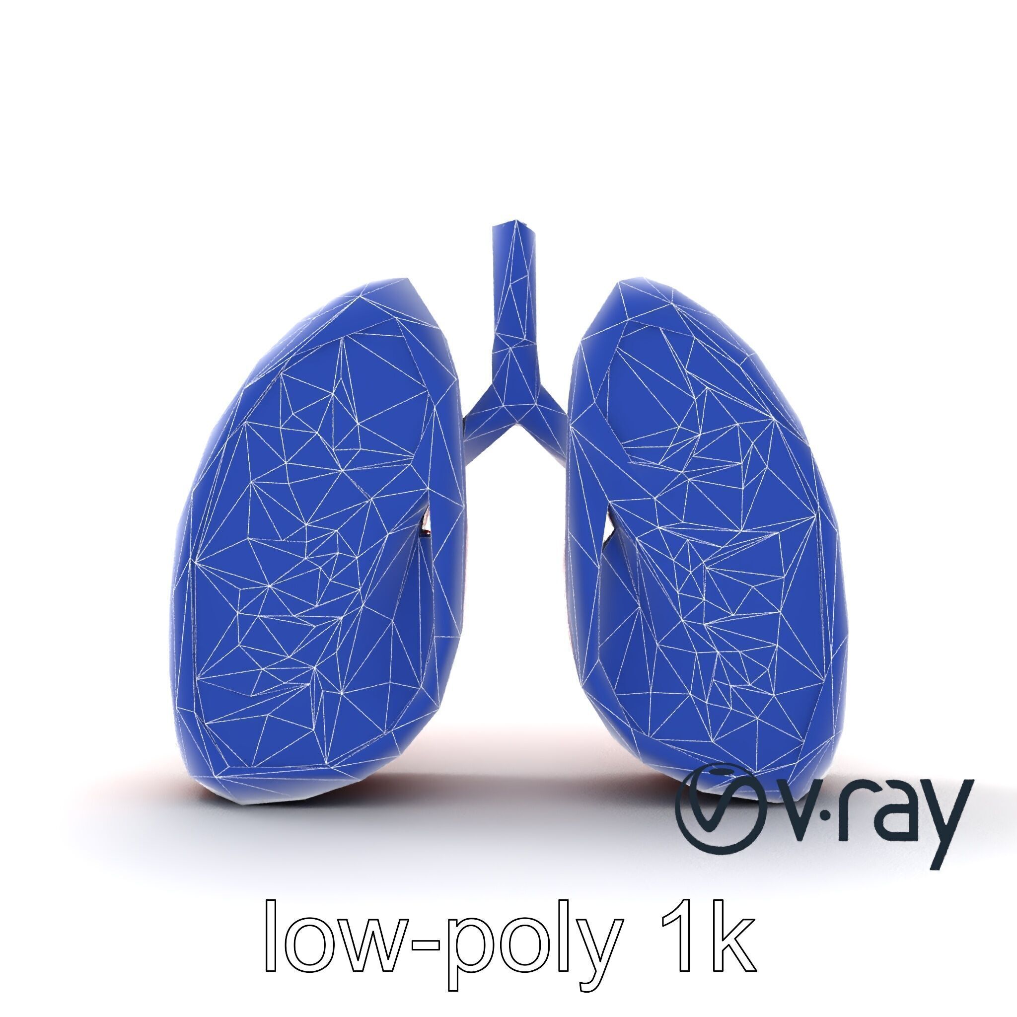 Futuristic Sci-Fi Lungs with Glowing Bronchi model pack Low-poly 3D model_26