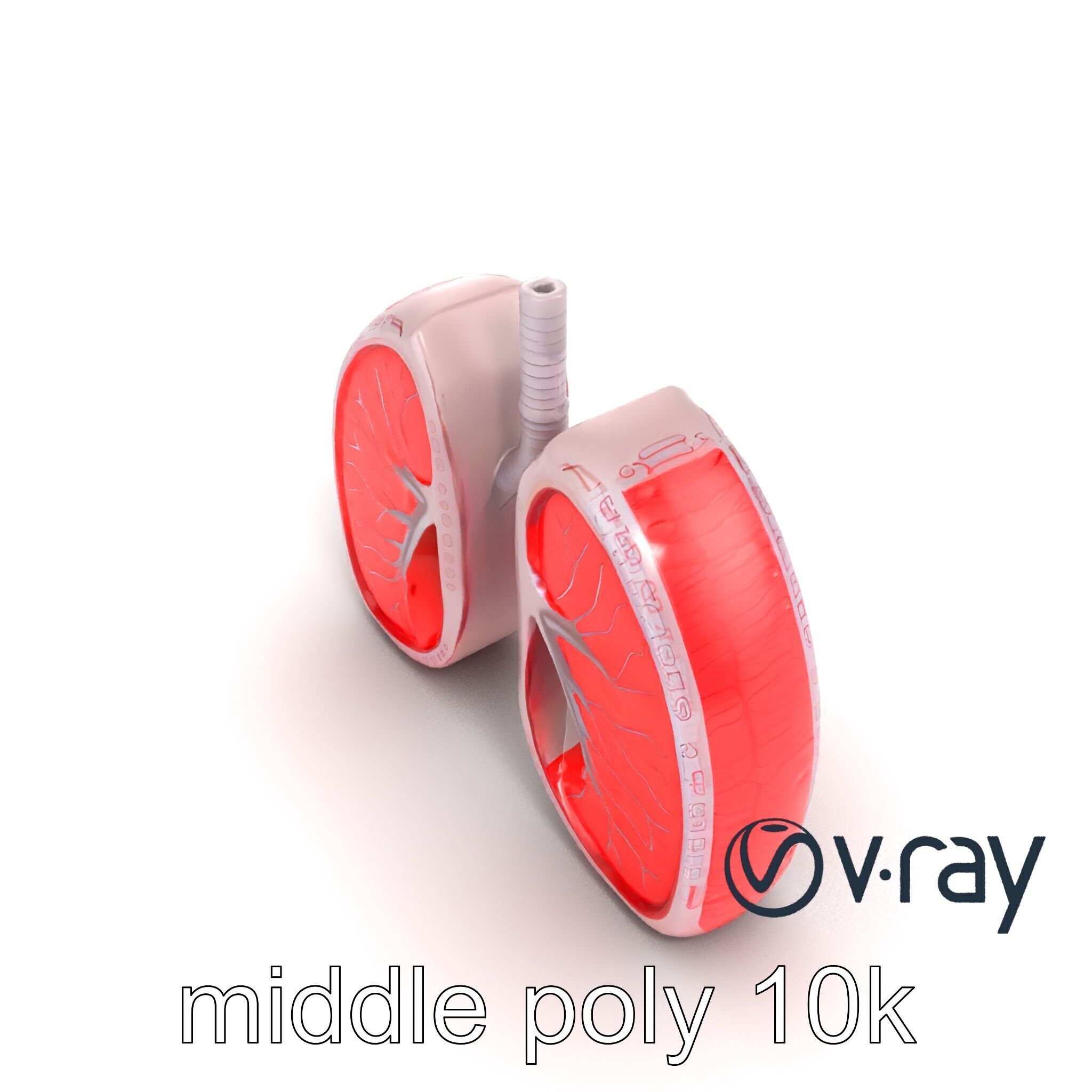 Futuristic Sci-Fi Lungs with Glowing Bronchi model pack Low-poly 3D model_9