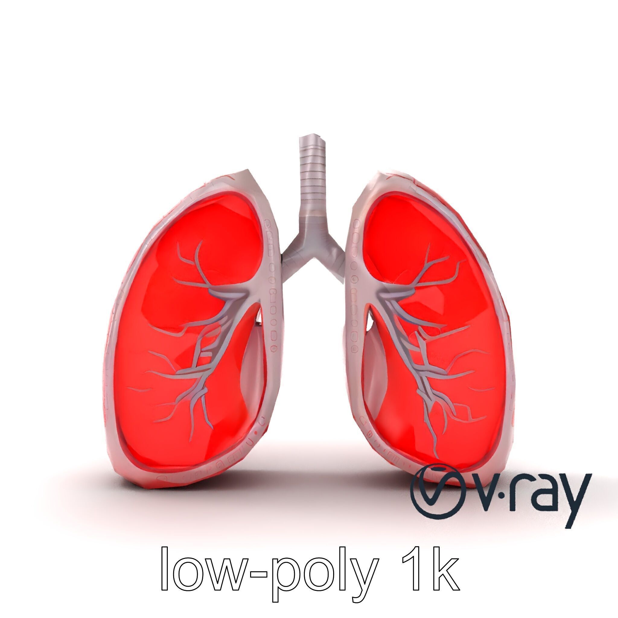 Futuristic Sci-Fi Lungs with Glowing Bronchi model pack Low-poly 3D model_27