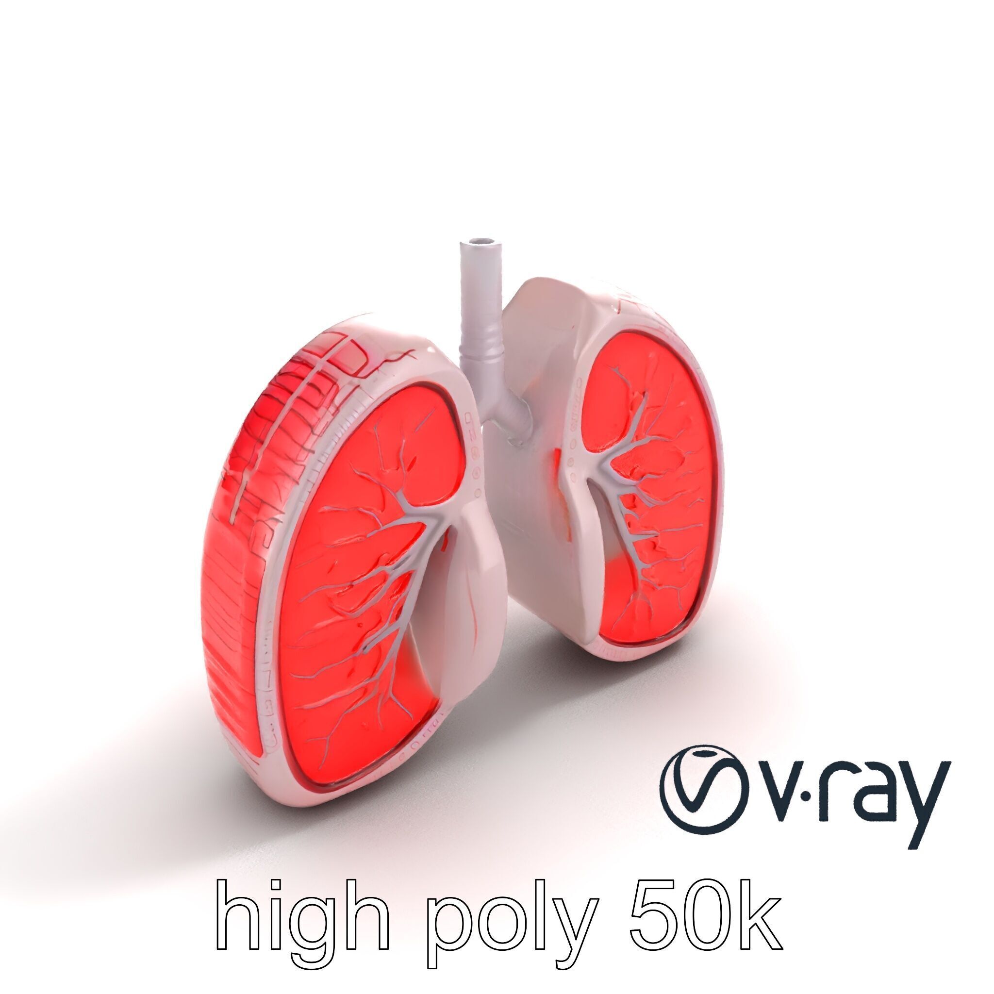 Futuristic Sci-Fi Lungs with Glowing Bronchi model pack Low-poly 3D model_11