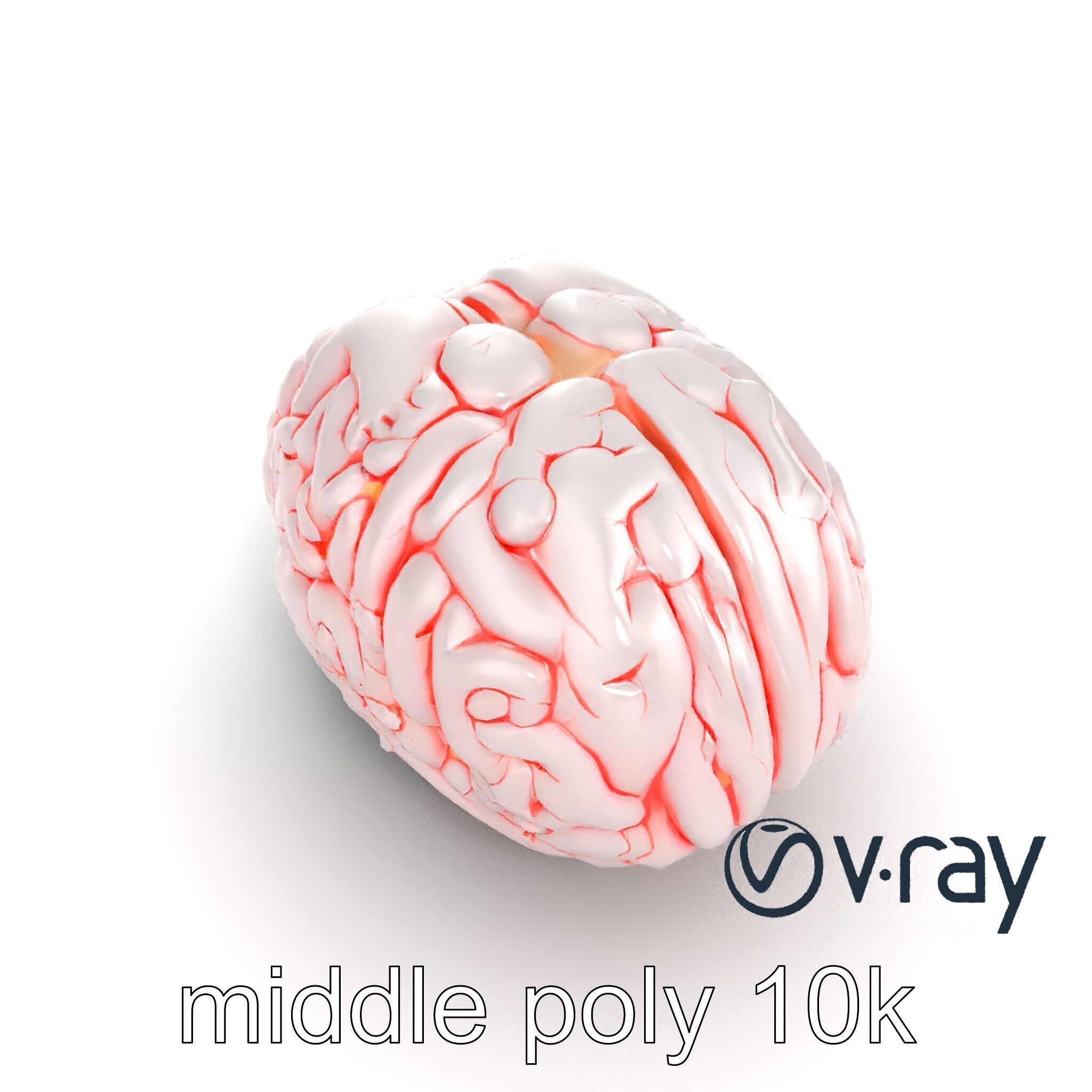 Glowing Stylized Brain Design model pack Low-poly 3D model_9