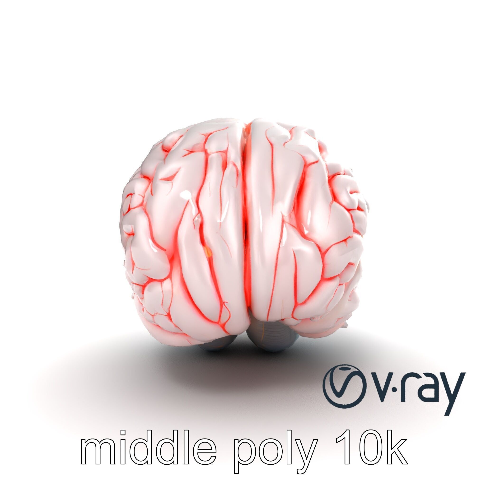Glowing Stylized Brain Design model pack Low-poly 3D model_17