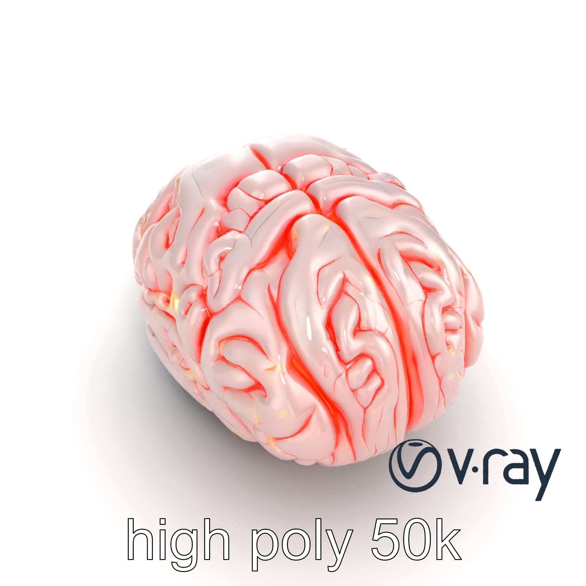 Glowing Stylized Brain Design model pack Low-poly 3D model_30