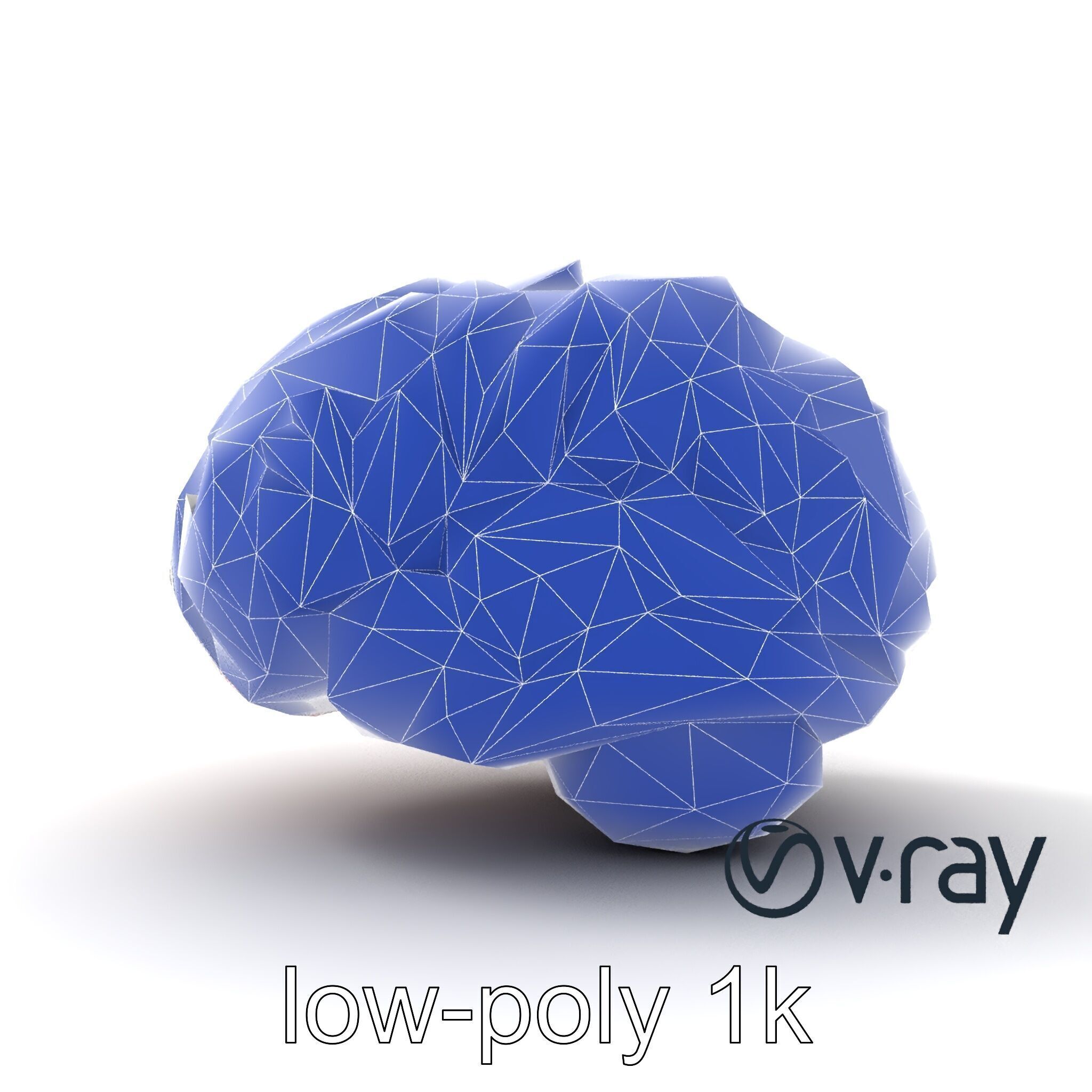 Glowing Stylized Brain Design model pack Low-poly 3D model_24