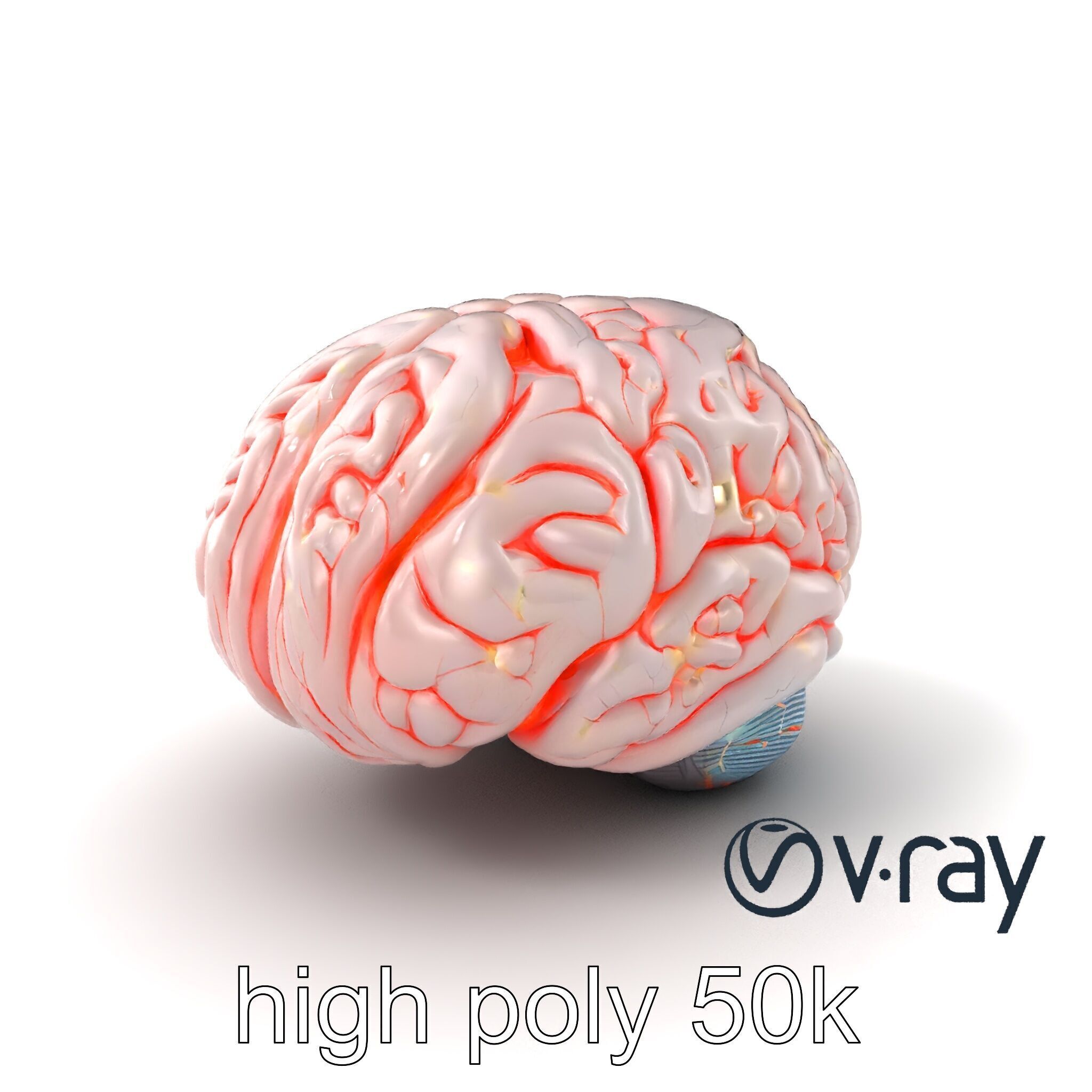 Glowing Stylized Brain Design model pack Low-poly 3D model_5