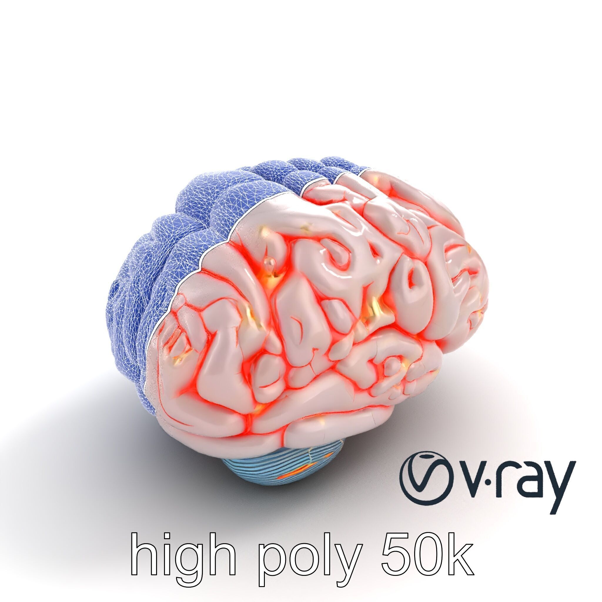 Glowing Stylized Brain Design model pack Low-poly 3D model_28