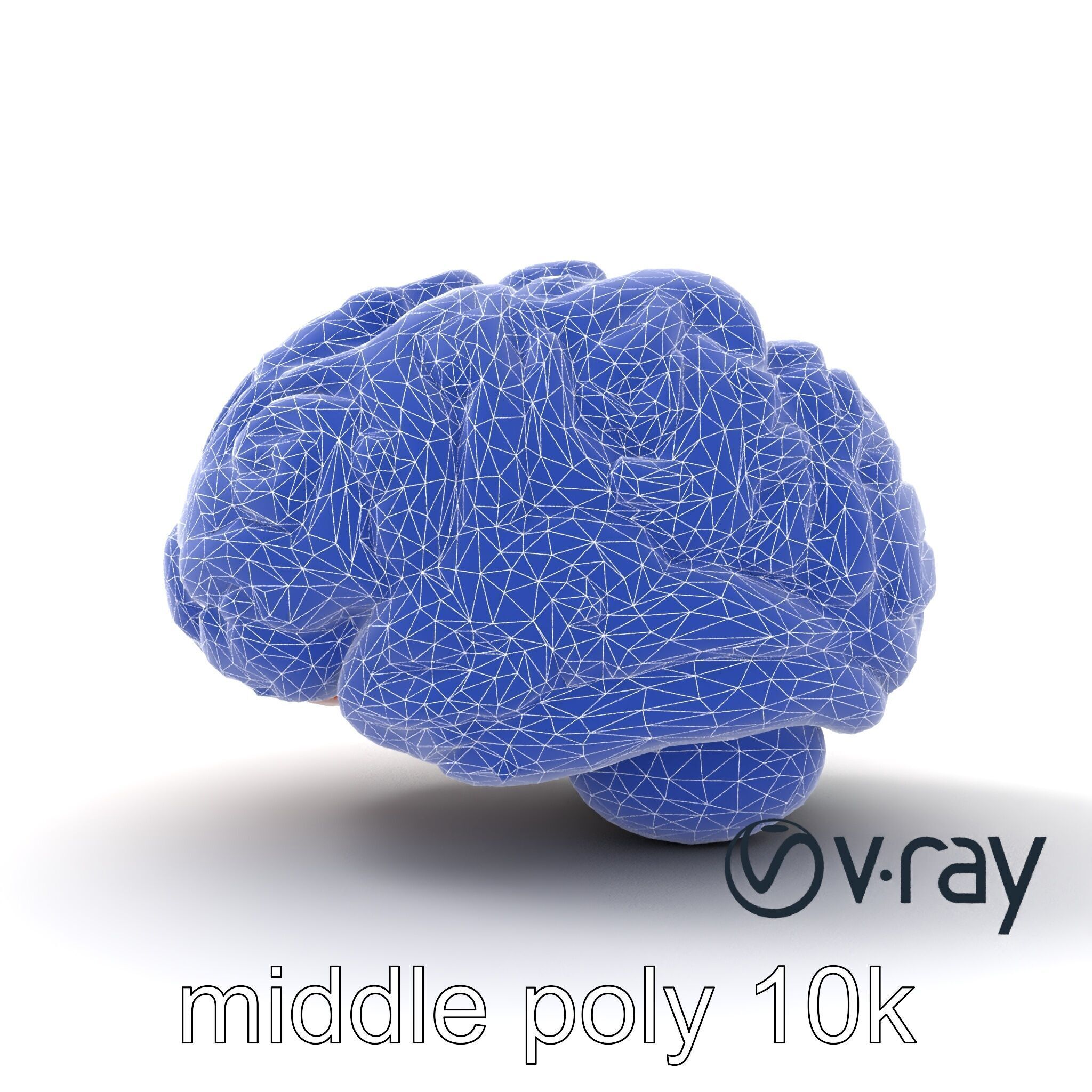 Glowing Stylized Brain Design model pack Low-poly 3D model_32