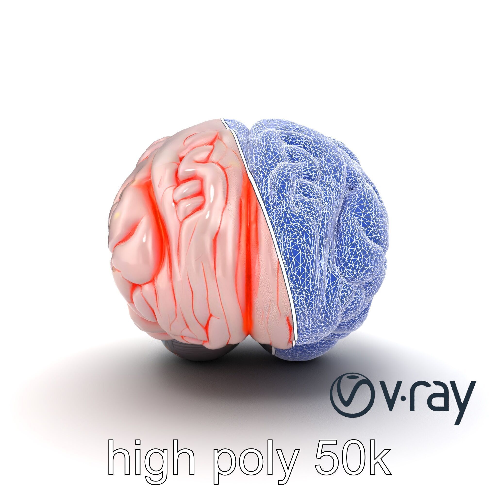 Glowing Stylized Brain Design model pack Low-poly 3D model_22
