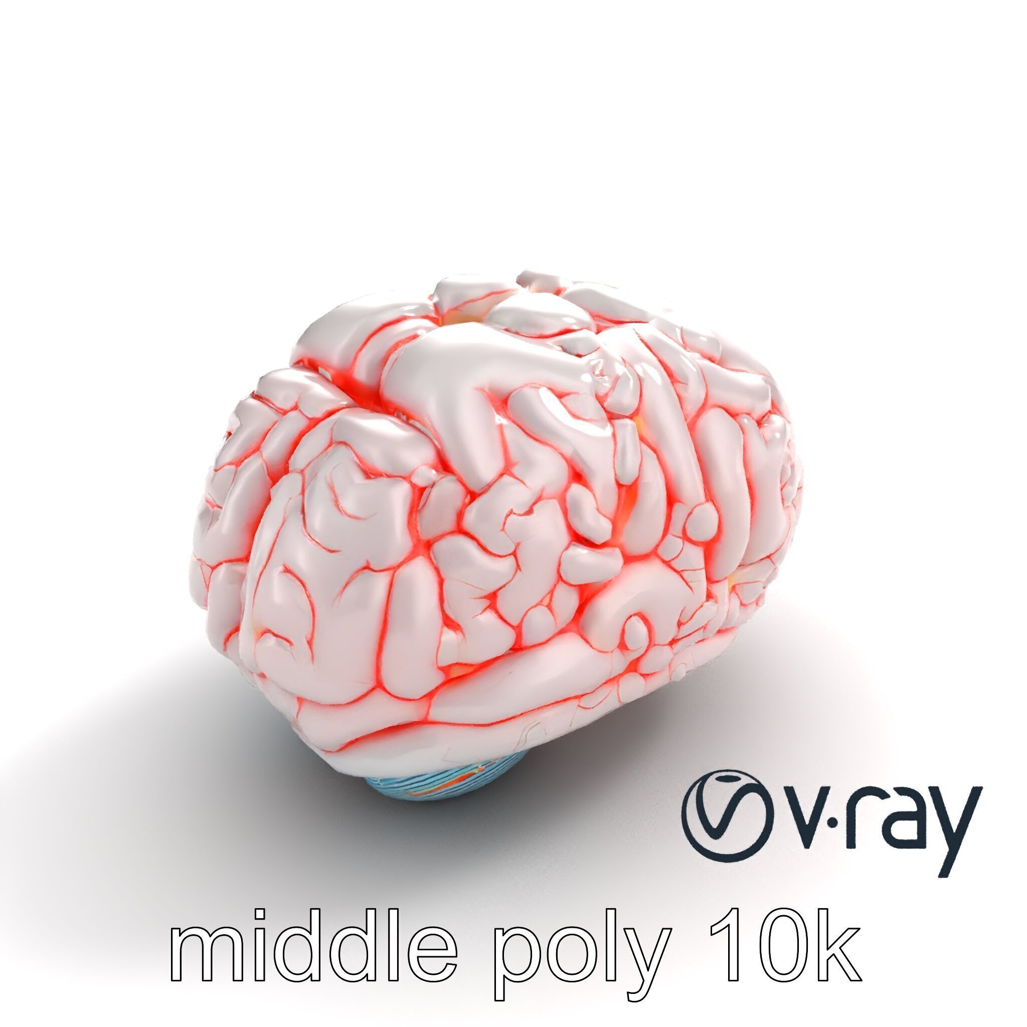 Glowing Stylized Brain Design model pack Low-poly 3D model_6