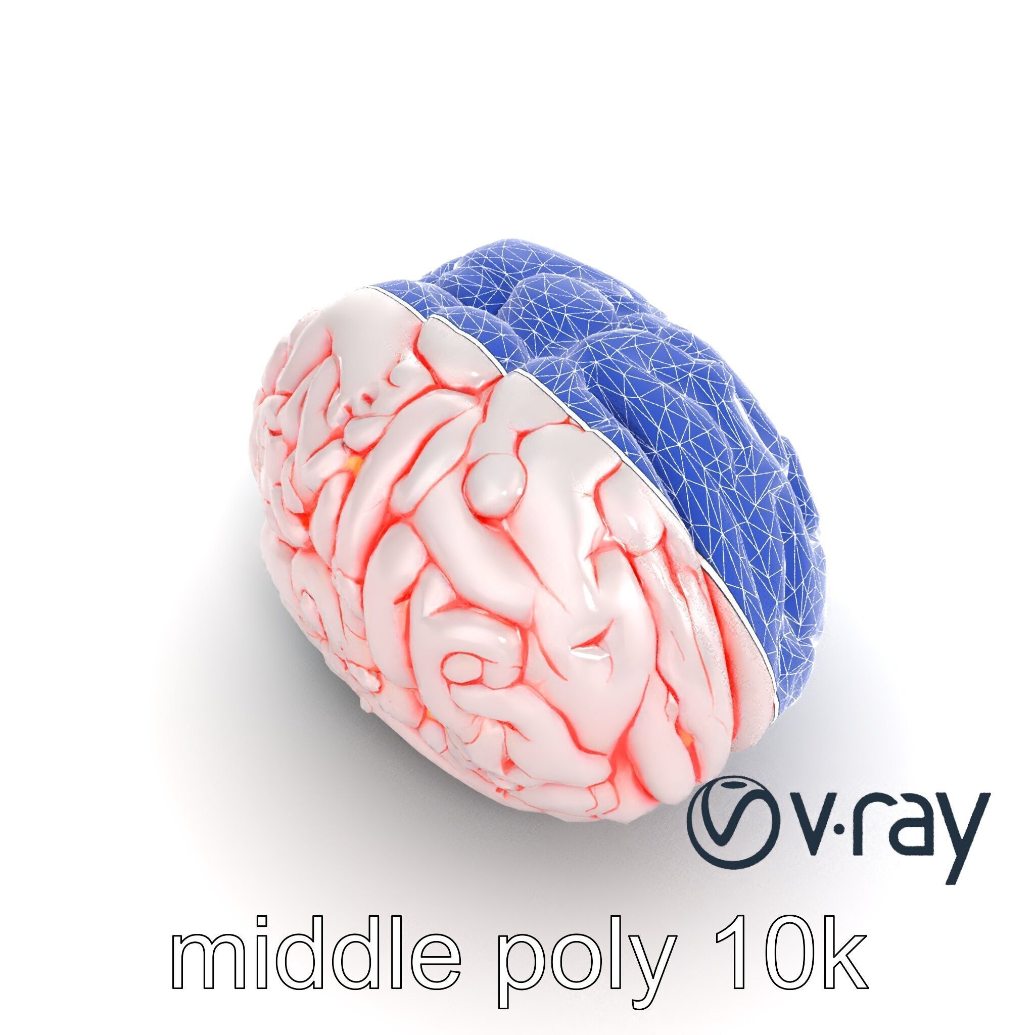 Glowing Stylized Brain Design model pack Low-poly 3D model_26
