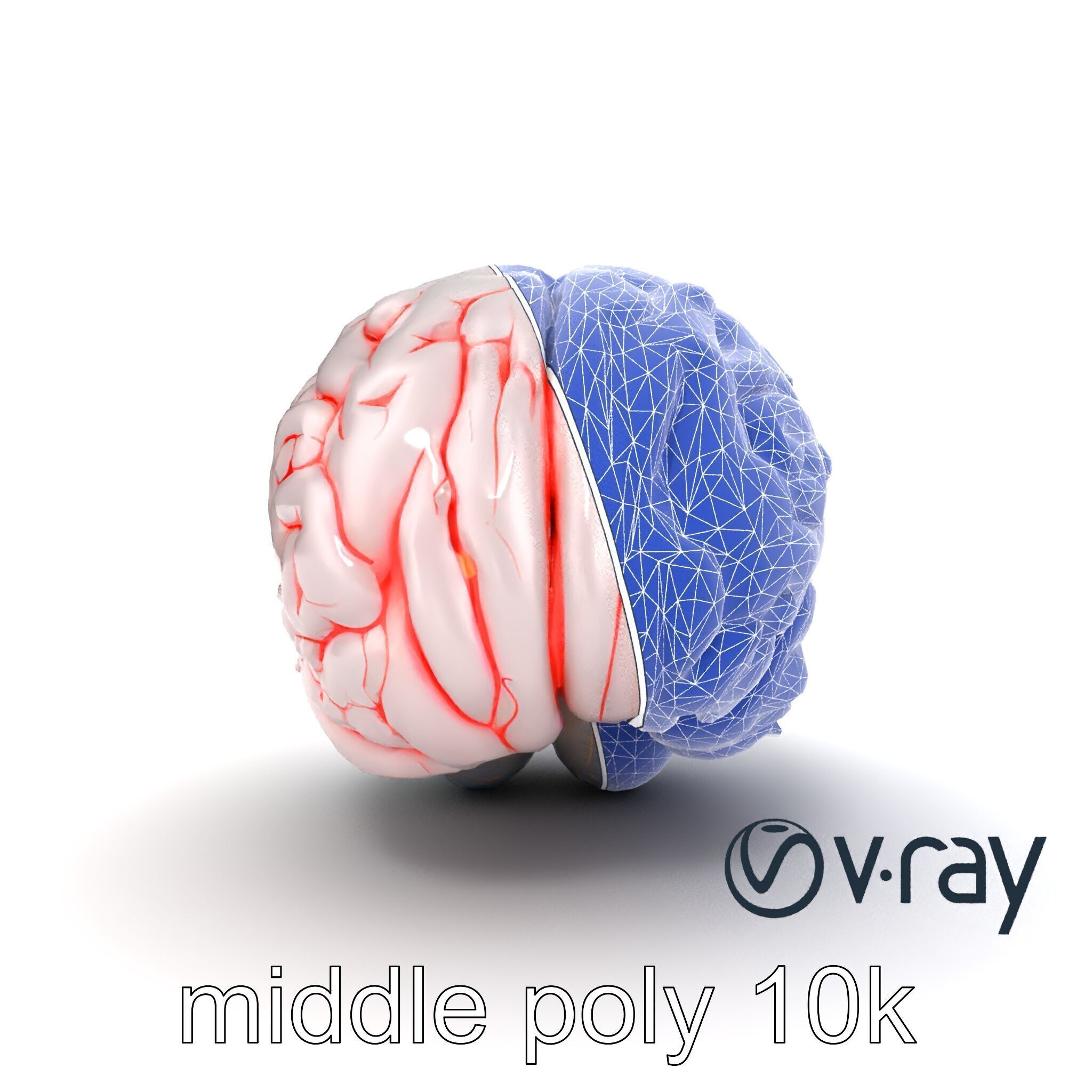Glowing Stylized Brain Design model pack Low-poly 3D model_29