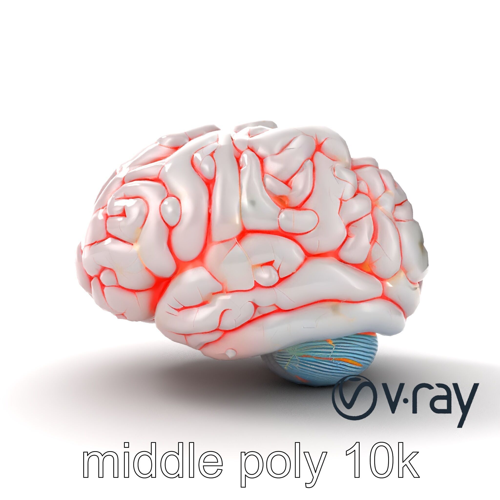 Glowing Stylized Brain Design model pack Low-poly 3D model_11
