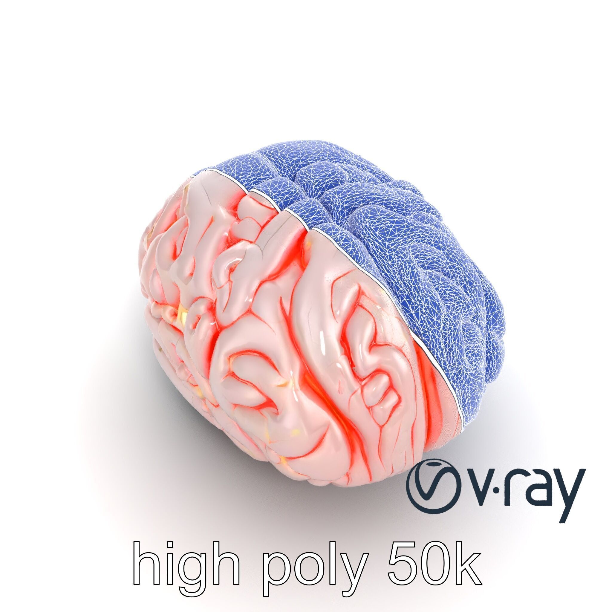 Glowing Stylized Brain Design model pack Low-poly 3D model_27