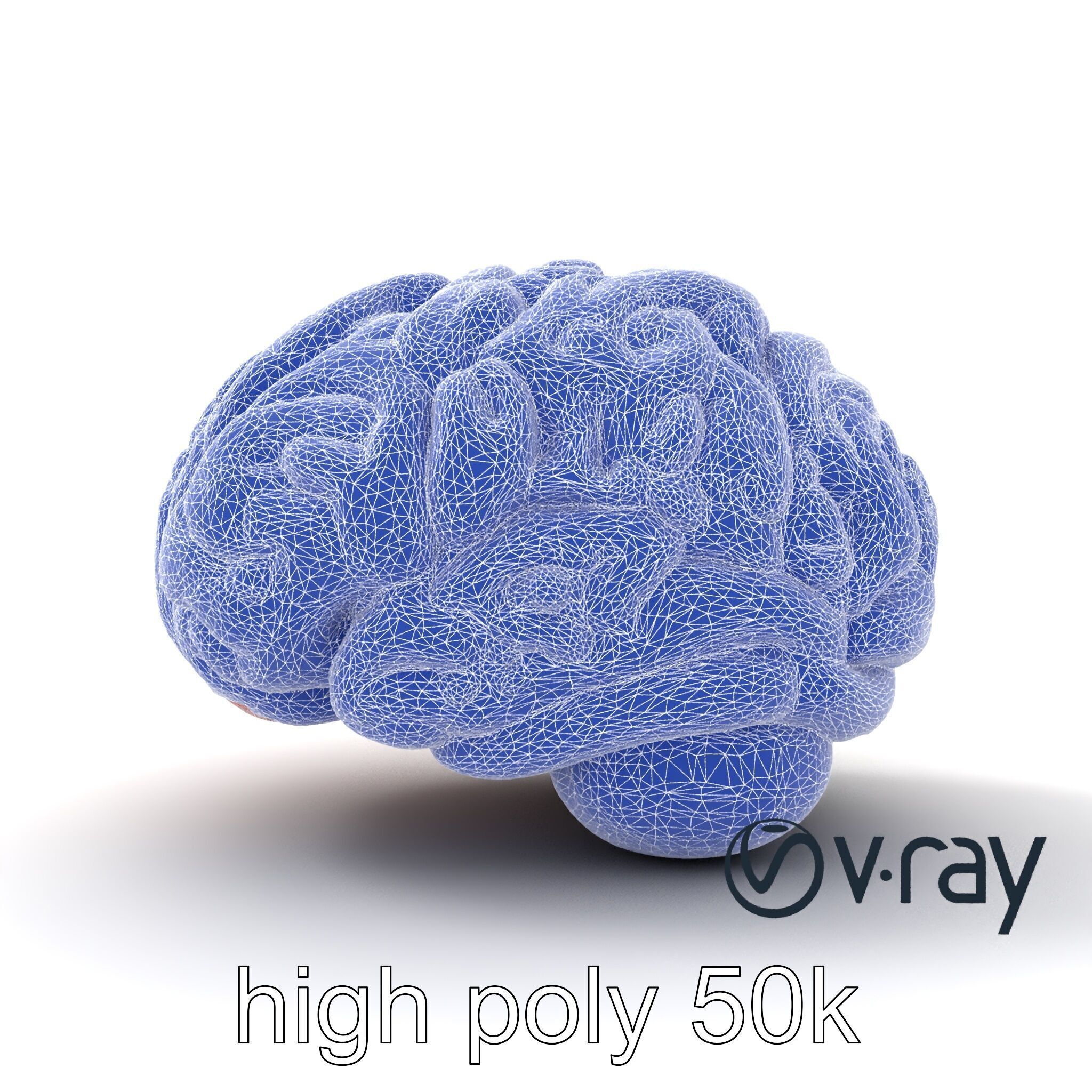 Glowing Stylized Brain Design model pack Low-poly 3D model_23