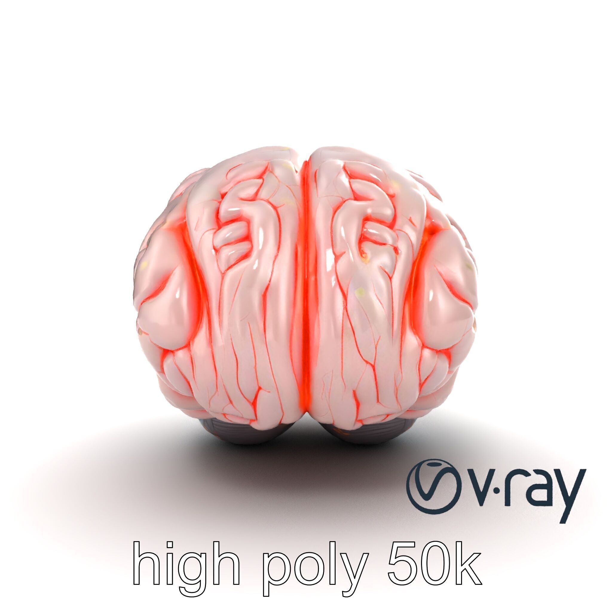 Glowing Stylized Brain Design model pack Low-poly 3D model_19
