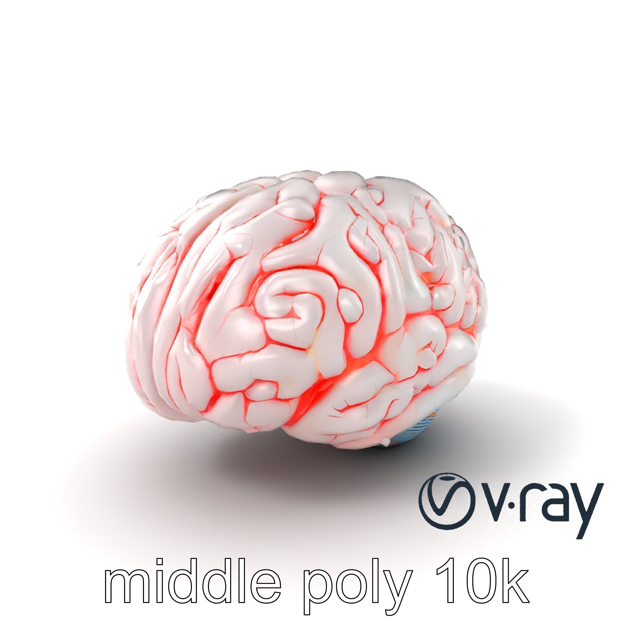 Glowing Stylized Brain Design model pack Low-poly 3D model_3