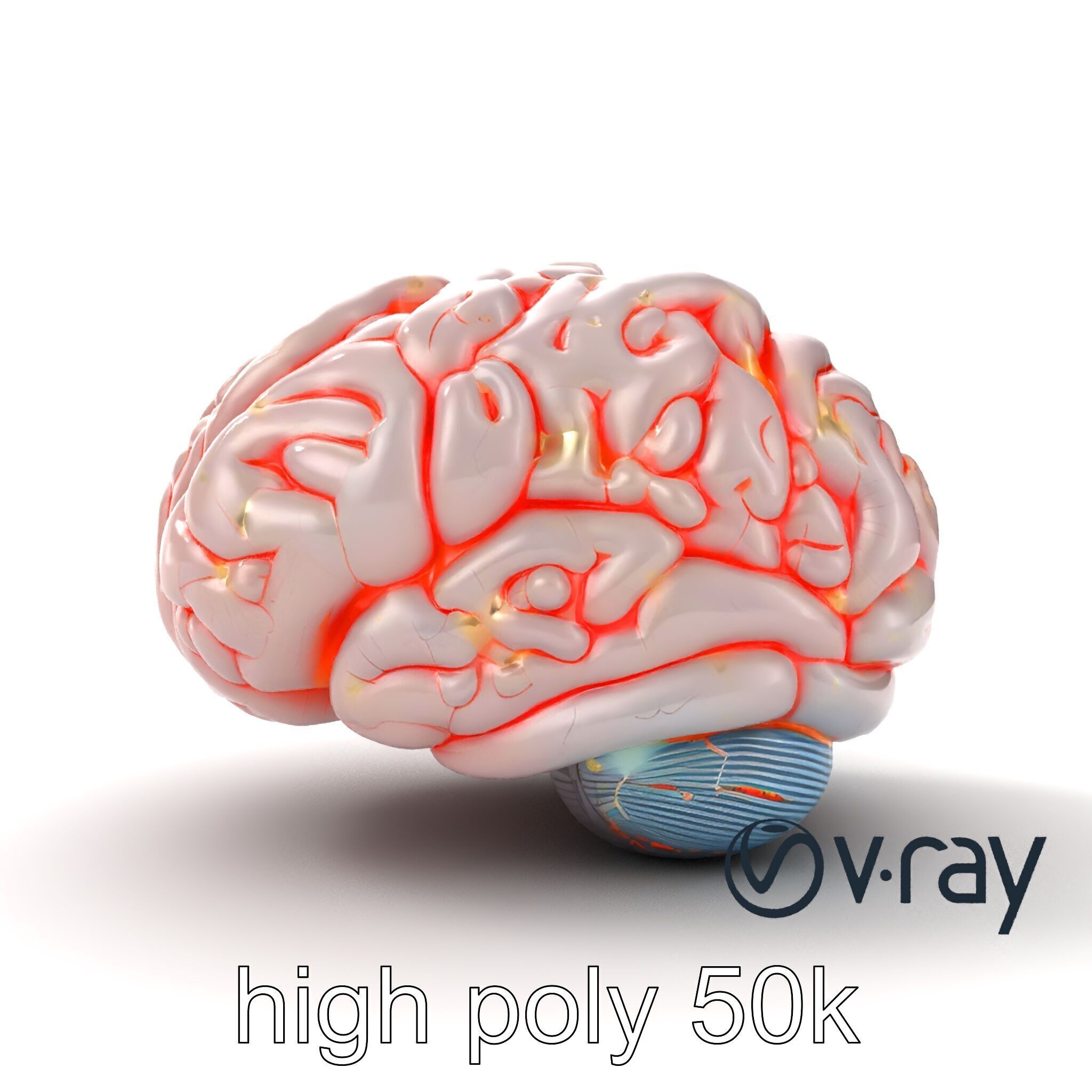Glowing Stylized Brain Design model pack Low-poly 3D model_31