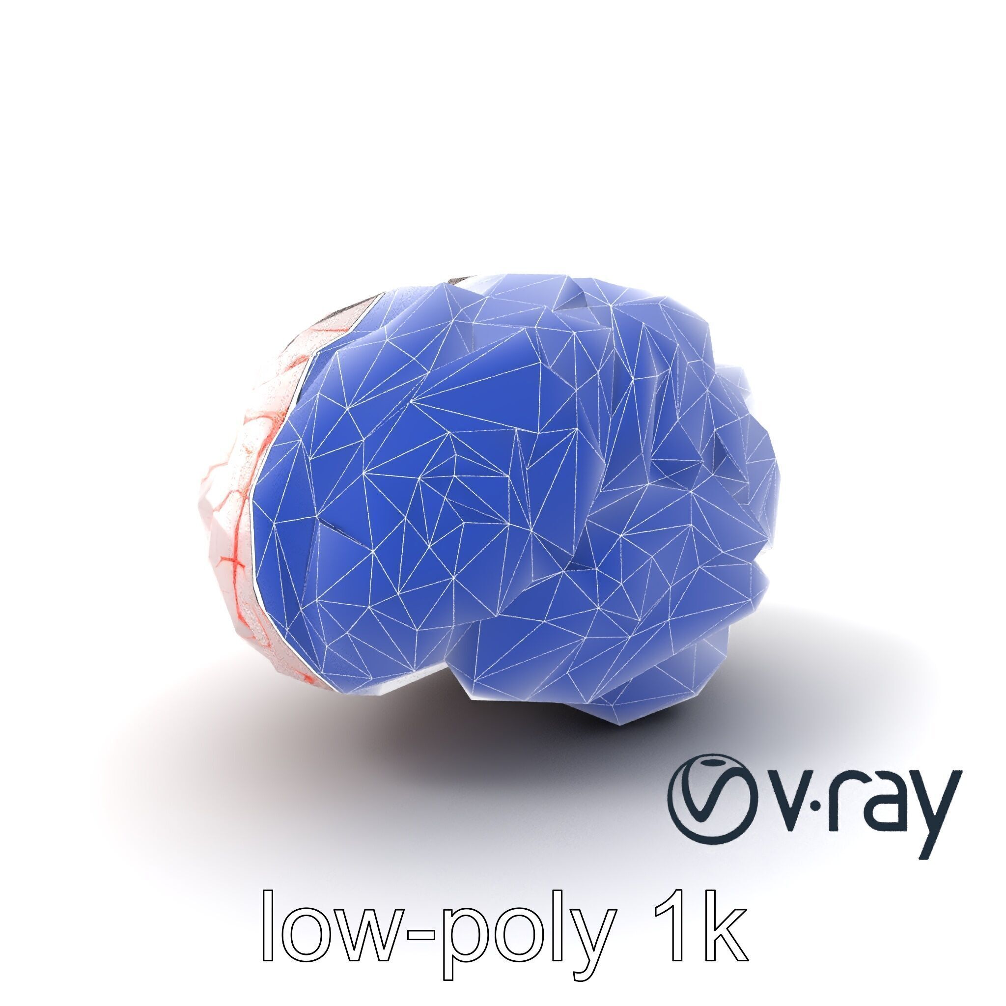 Glowing Stylized Brain Design model pack Low-poly 3D model_7
